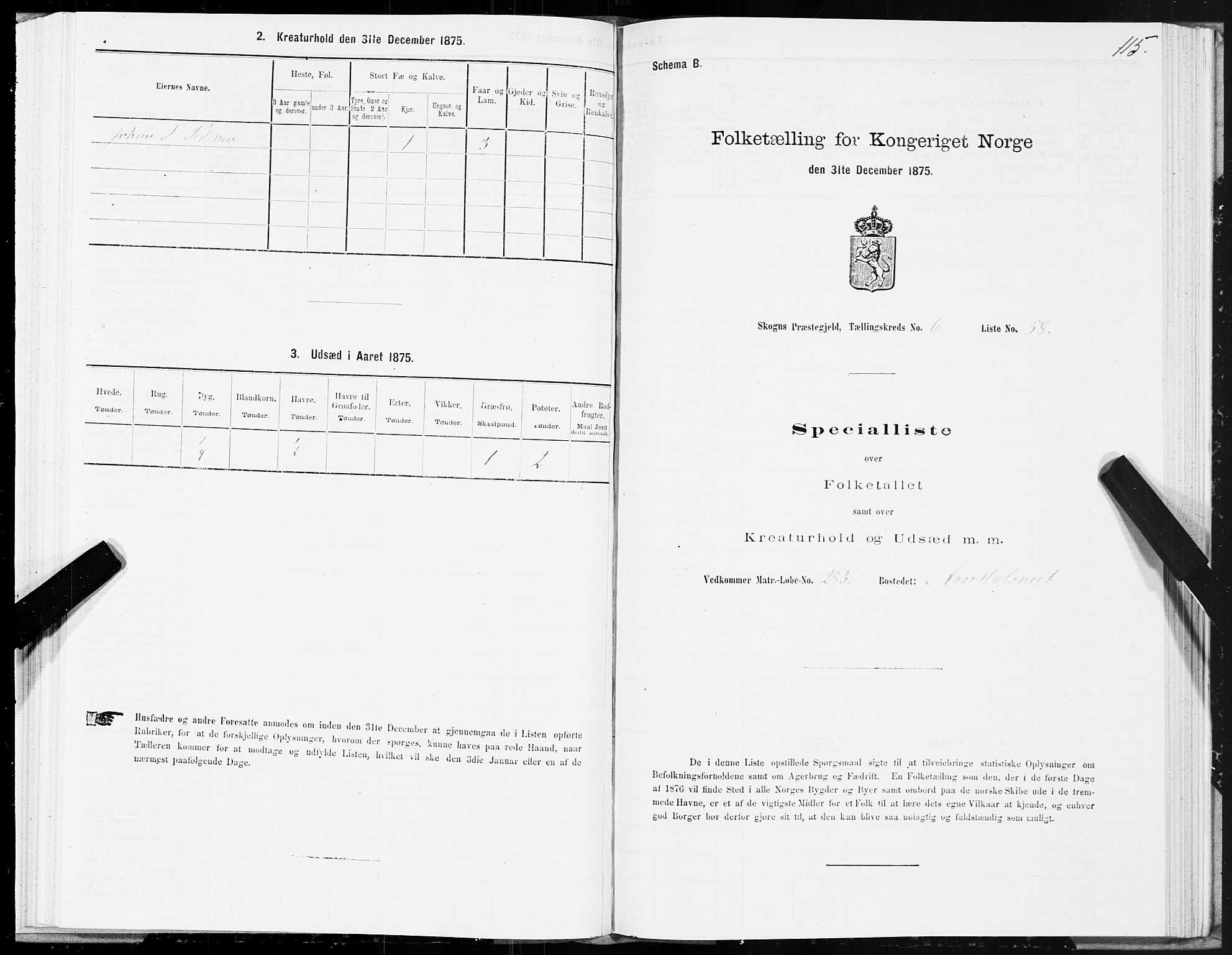 SAT, 1875 census for 1719P Skogn, 1875, p. 6115