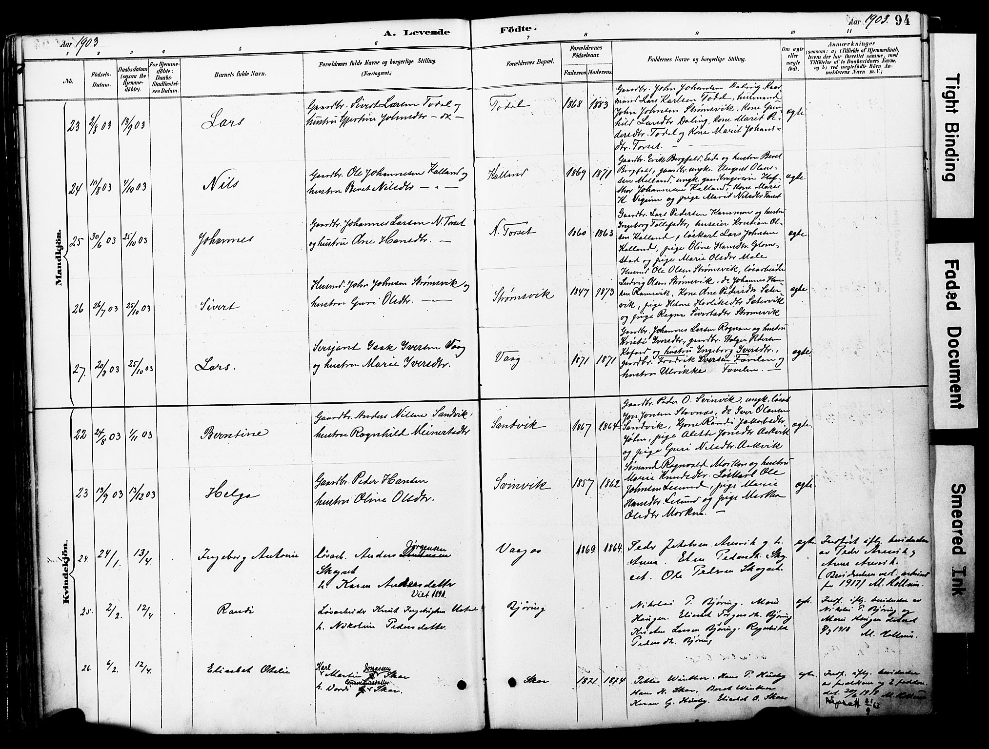 Ministerialprotokoller, klokkerbøker og fødselsregistre - Møre og Romsdal, AV/SAT-A-1454/578/L0907: Parish register (official) no. 578A06, 1887-1904, p. 94