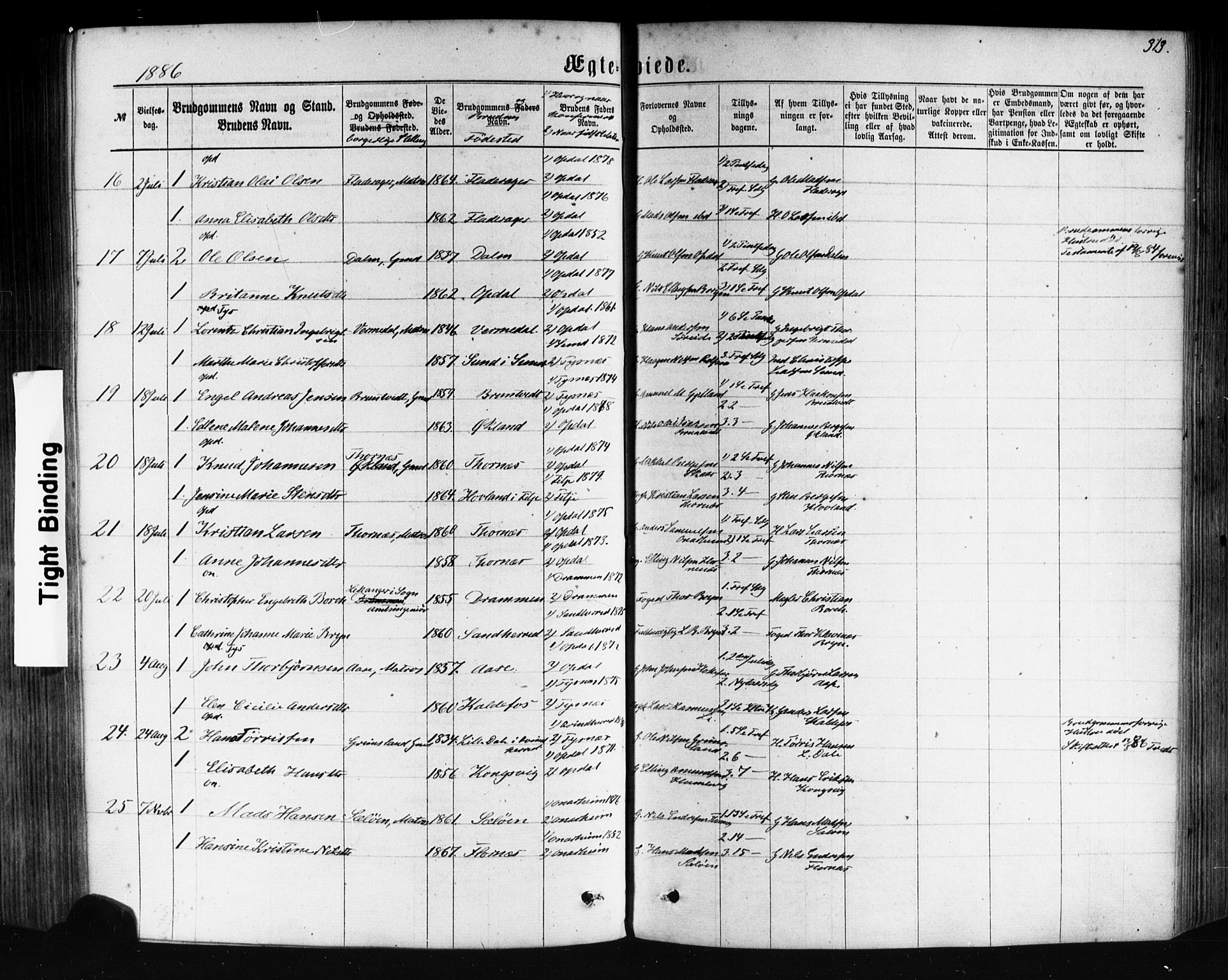 Tysnes sokneprestembete, AV/SAB-A-78601/H/Haa: Parish register (official) no. A 12, 1872-1886, p. 313