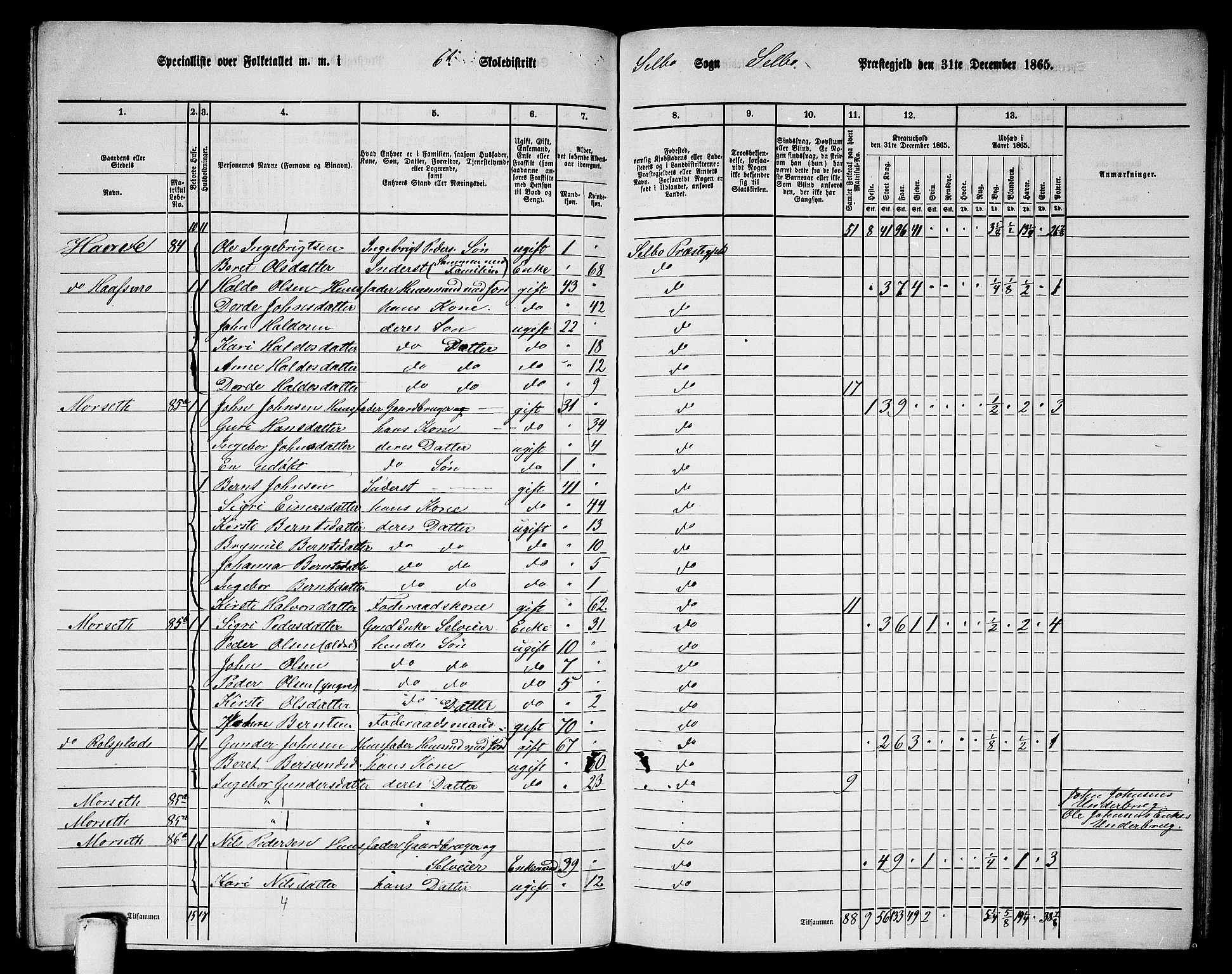 RA, 1865 census for Selbu, 1865, p. 106