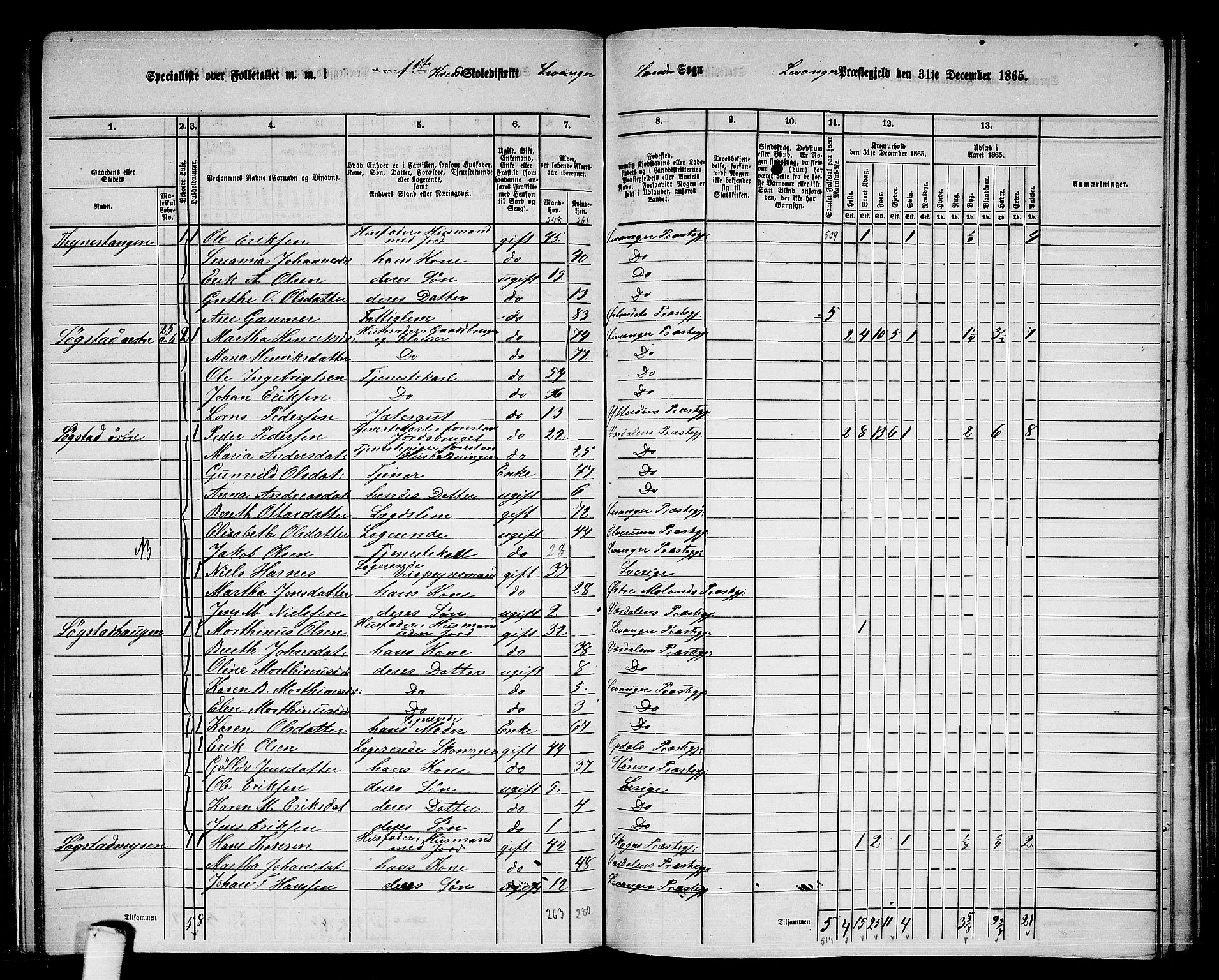 RA, 1865 census for Levanger/Levanger, 1865, p. 23