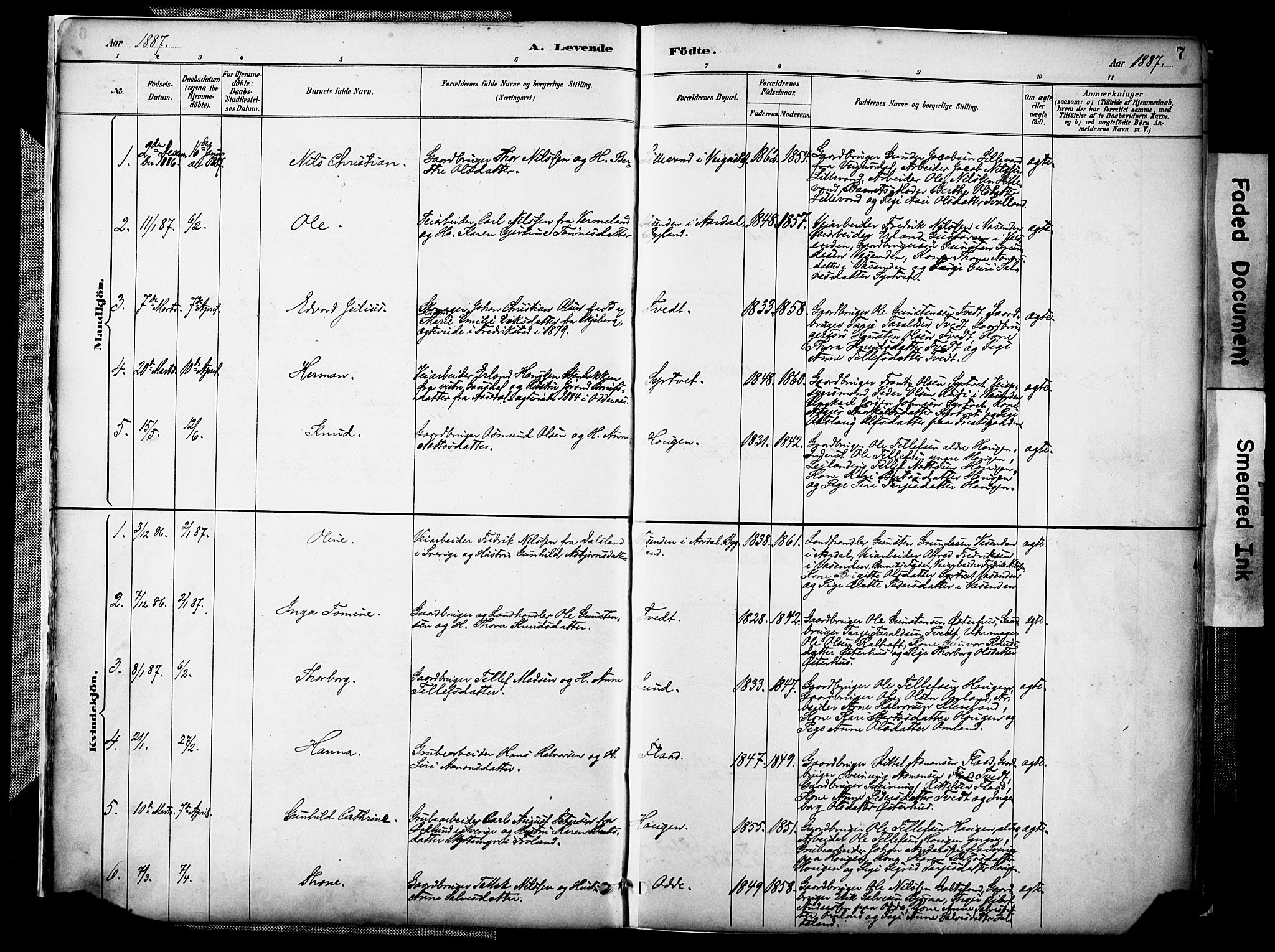 Evje sokneprestkontor, AV/SAK-1111-0008/F/Fa/Faa/L0007: Parish register (official) no. A 7, 1884-1909, p. 7