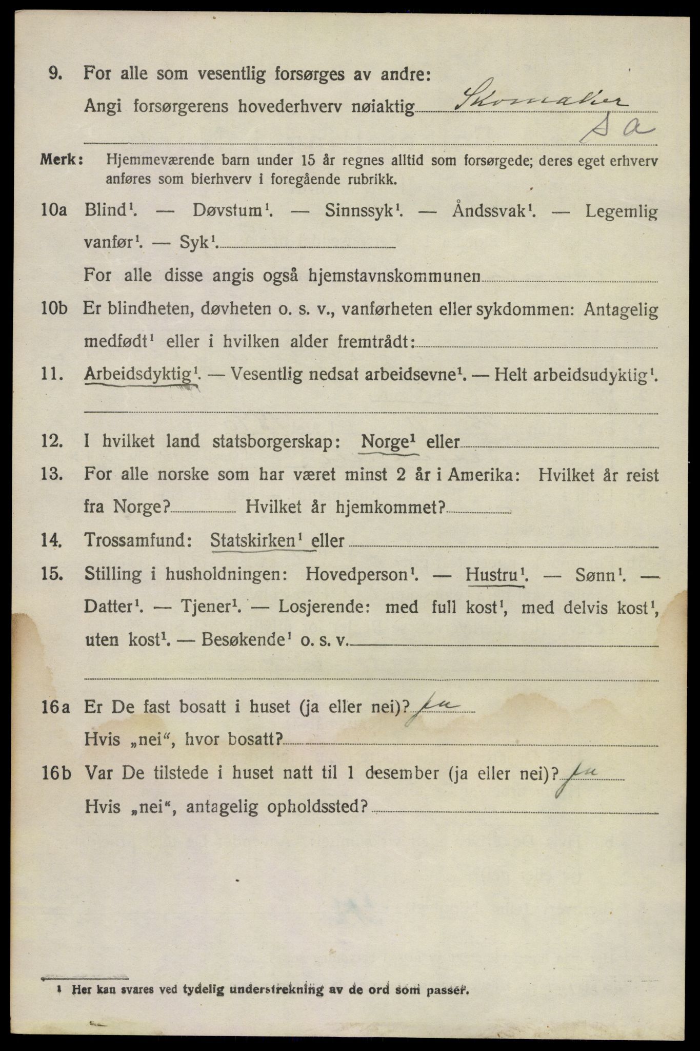 SAKO, 1920 census for Brunlanes, 1920, p. 9244