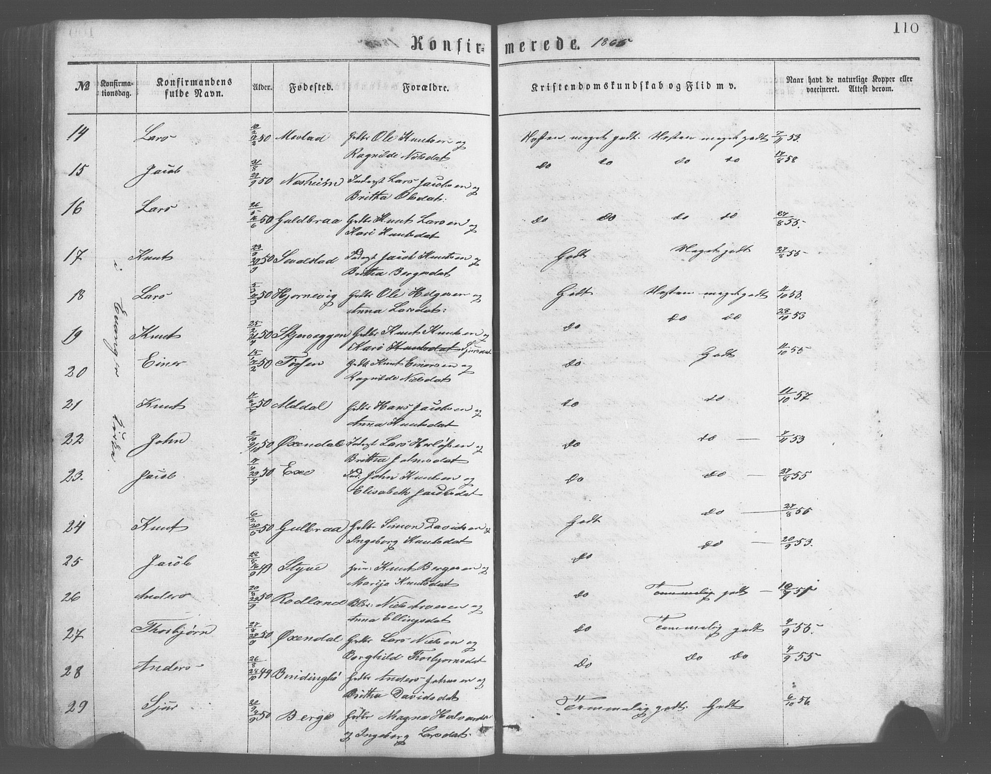 Evanger sokneprestembete, SAB/A-99924: Parish register (copy) no. A 2, 1863-1879, p. 110