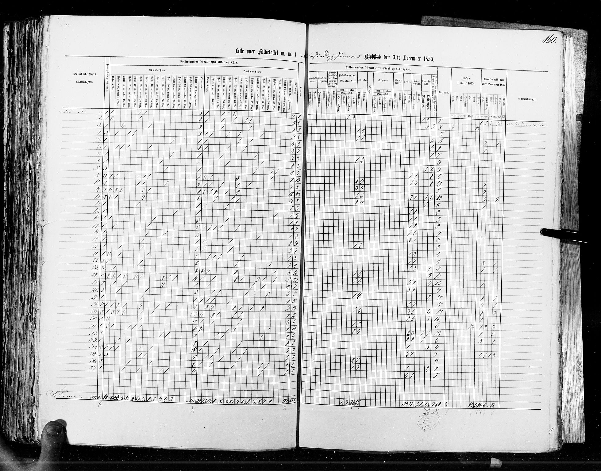 RA, Census 1855, vol. 7: Fredrikshald-Kragerø, 1855, p. 160