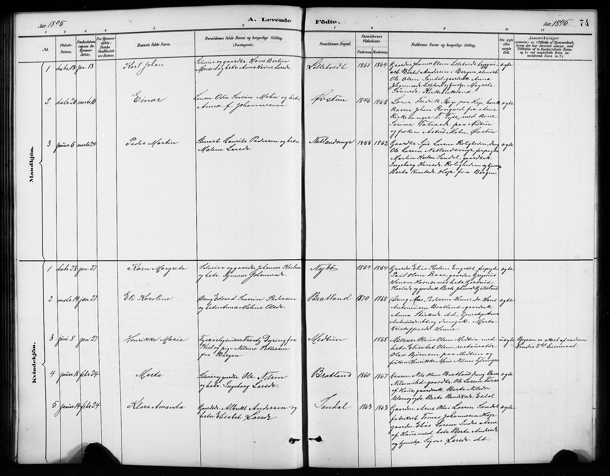 Birkeland Sokneprestembete, SAB/A-74601/H/Hab: Parish register (copy) no. A 4, 1888-1897, p. 74