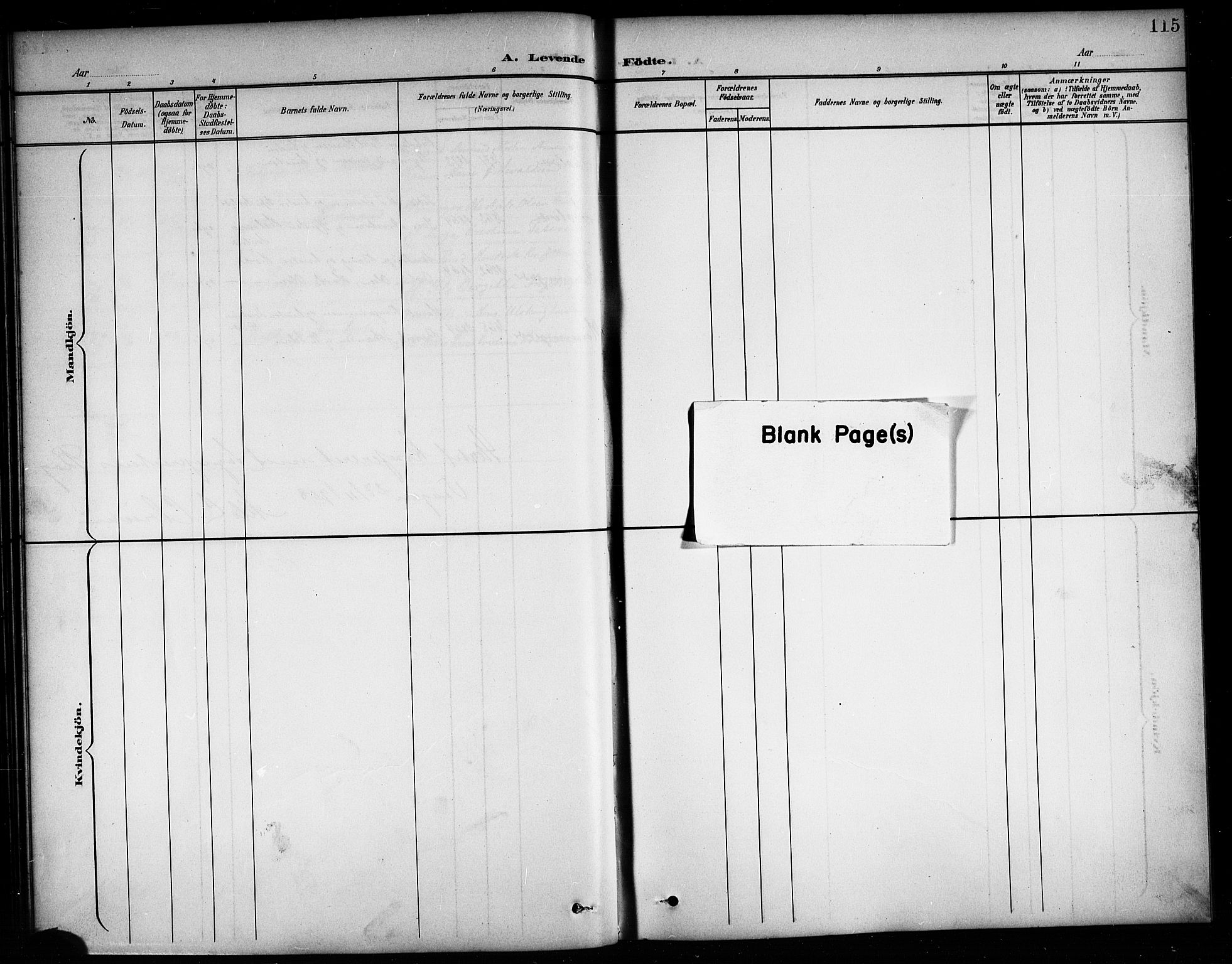 Ministerialprotokoller, klokkerbøker og fødselsregistre - Nordland, SAT/A-1459/874/L1078: Parish register (copy) no. 874C07, 1900-1907, p. 115