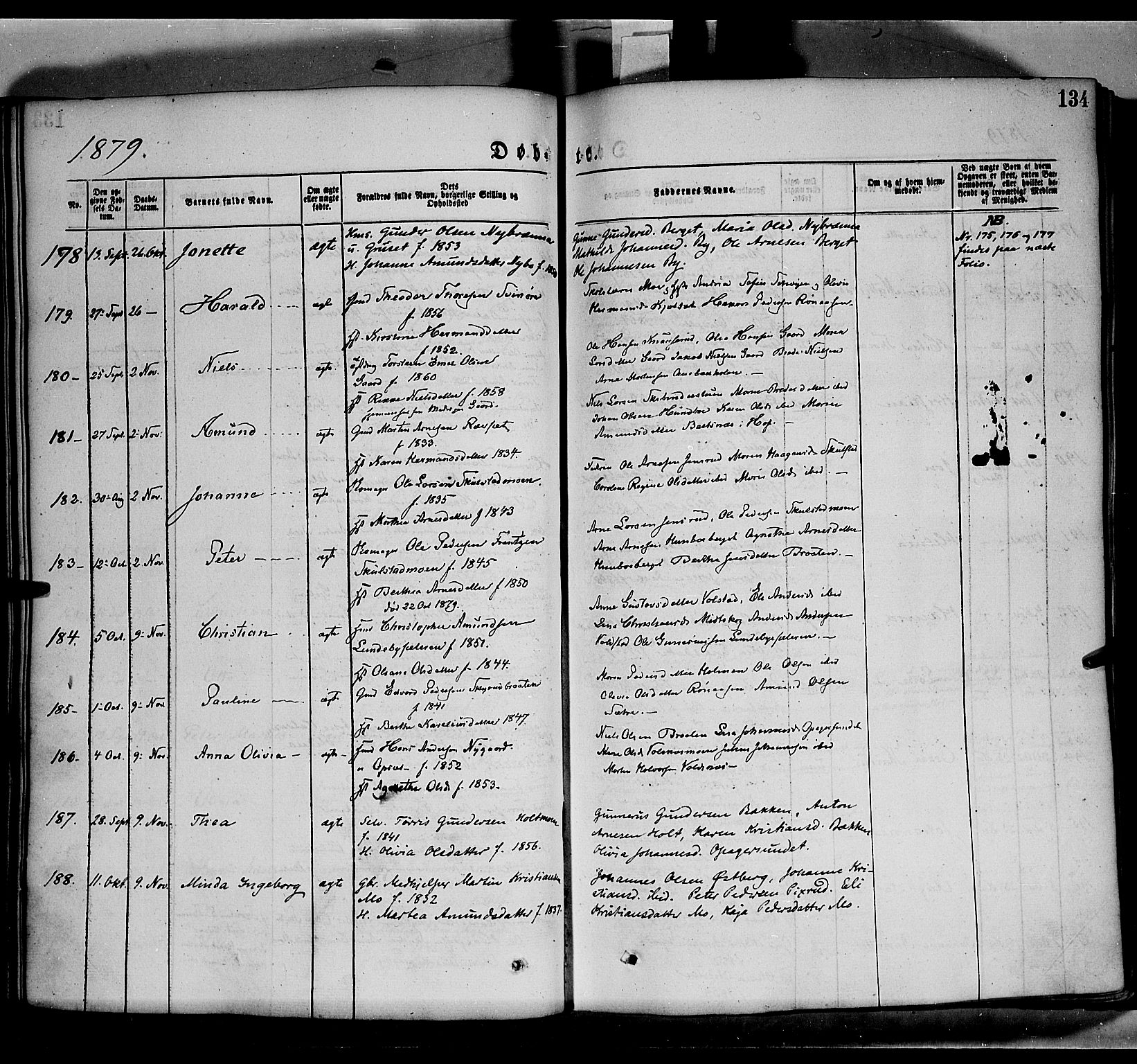 Grue prestekontor, AV/SAH-PREST-036/H/Ha/Haa/L0011: Parish register (official) no. 11, 1873-1880, p. 134