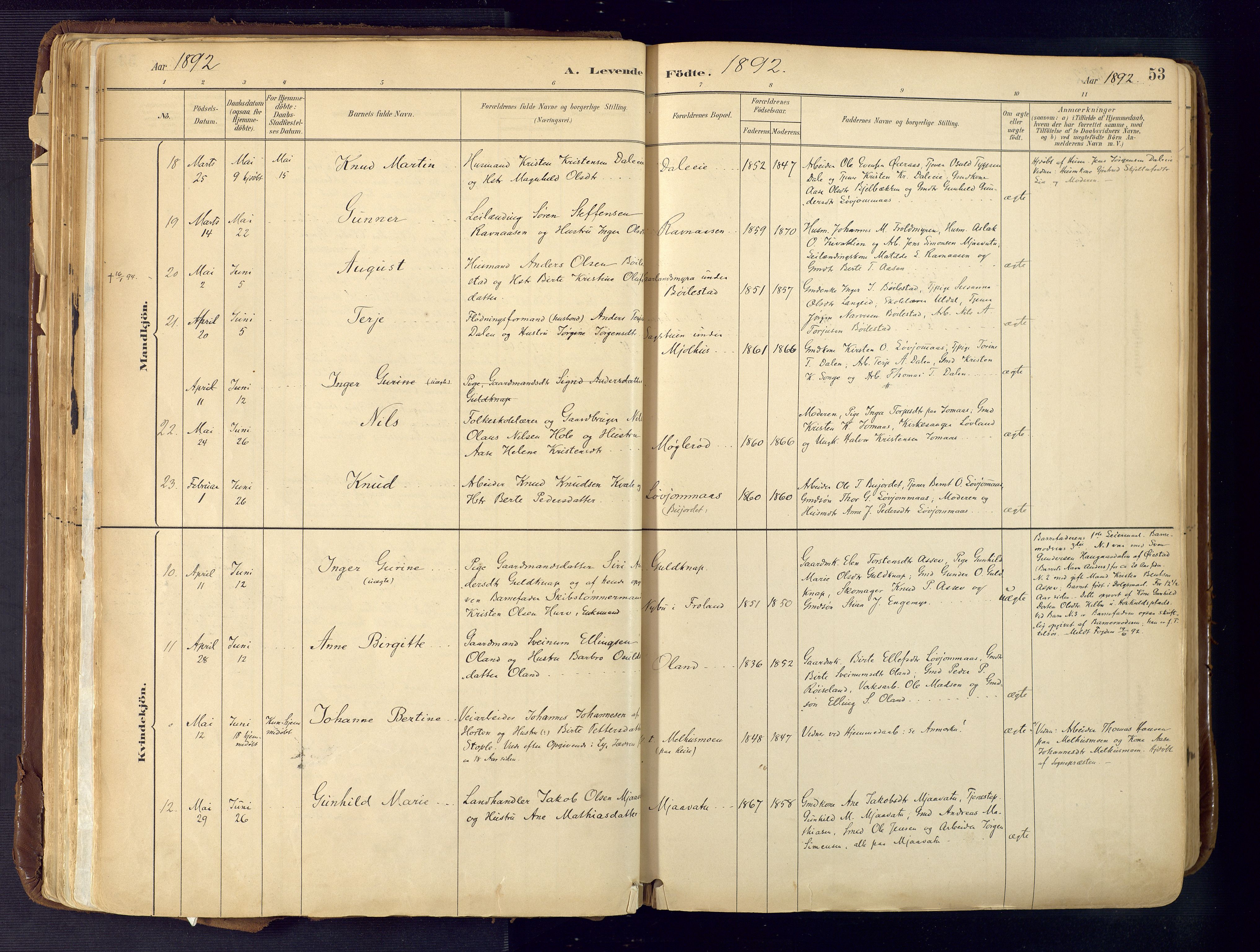 Froland sokneprestkontor, AV/SAK-1111-0013/F/Fa/L0005: Parish register (official) no. A 5, 1882-1921, p. 53