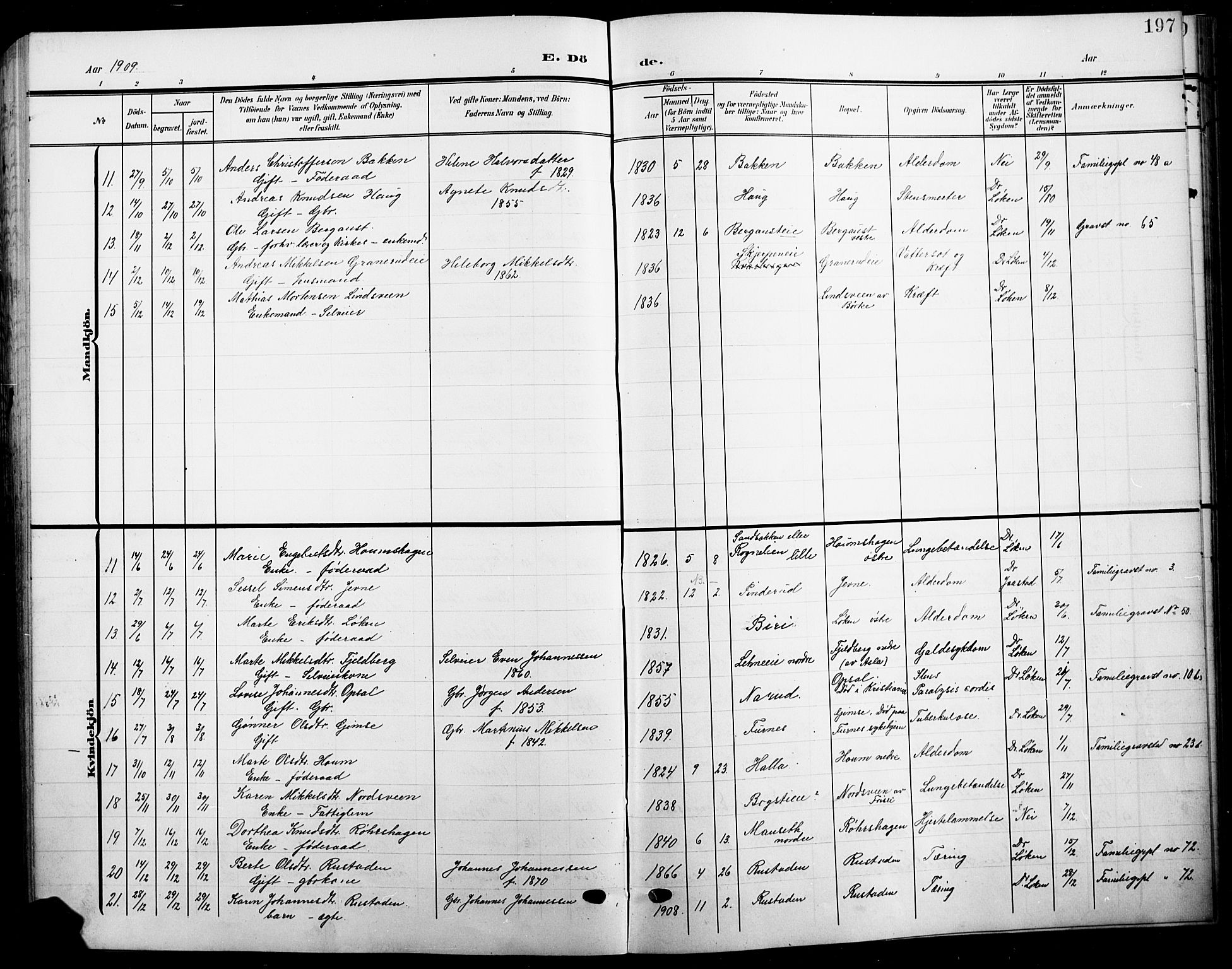 Ringsaker prestekontor, AV/SAH-PREST-014/L/La/L0017: Parish register (copy) no. 17, 1905-1920, p. 197