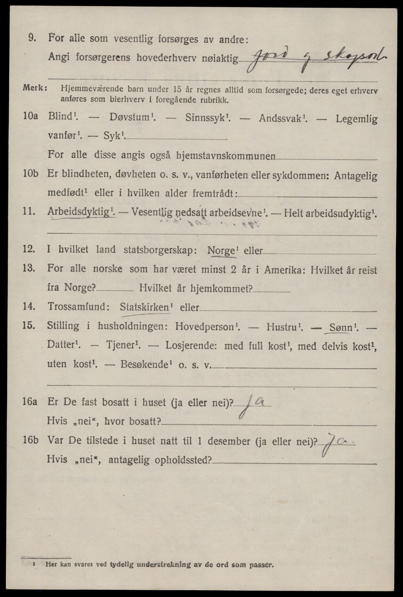 SAKO, 1920 census for Seljord, 1920, p. 2367