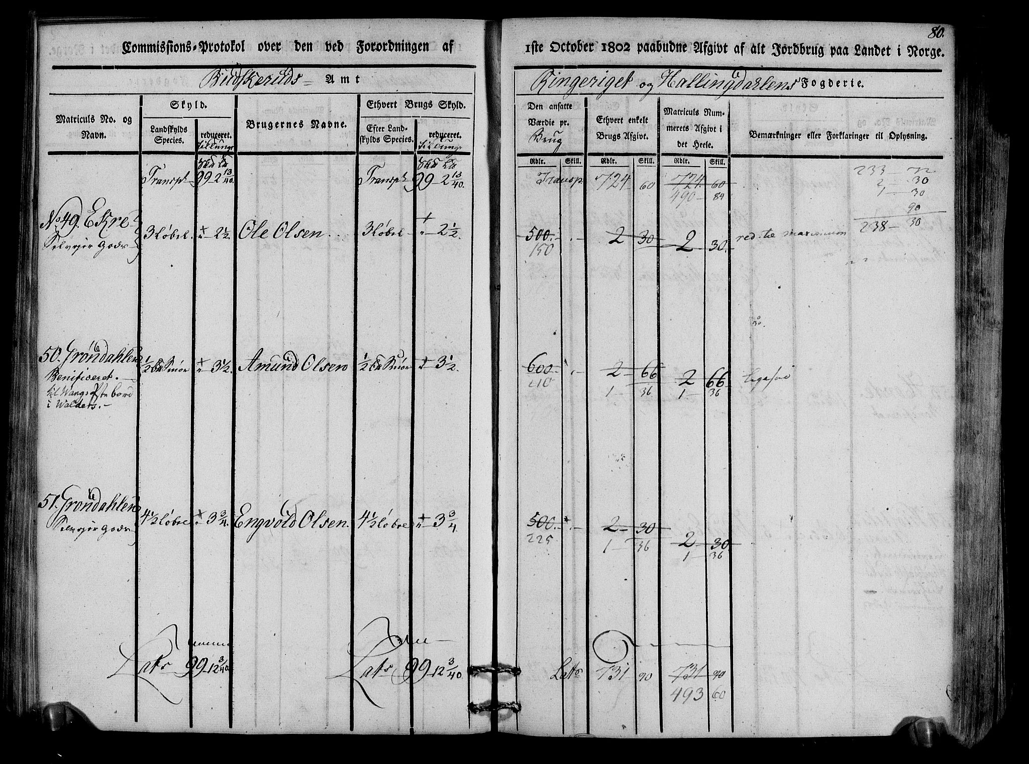 Rentekammeret inntil 1814, Realistisk ordnet avdeling, AV/RA-EA-4070/N/Ne/Nea/L0047: Ringerike og Hallingdal fogderi. Kommisjonsprotokoll for Nes prestegjeld, 1803, p. 83