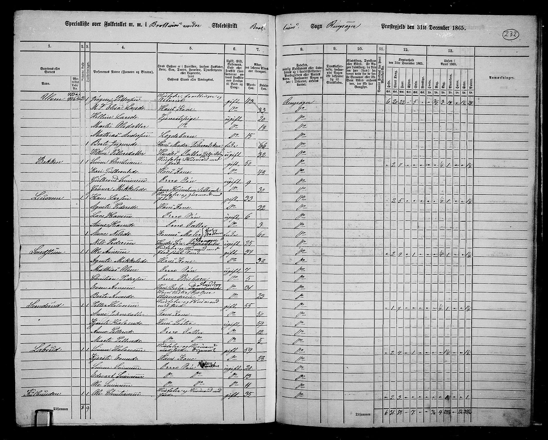 RA, 1865 census for Ringsaker, 1865, p. 466