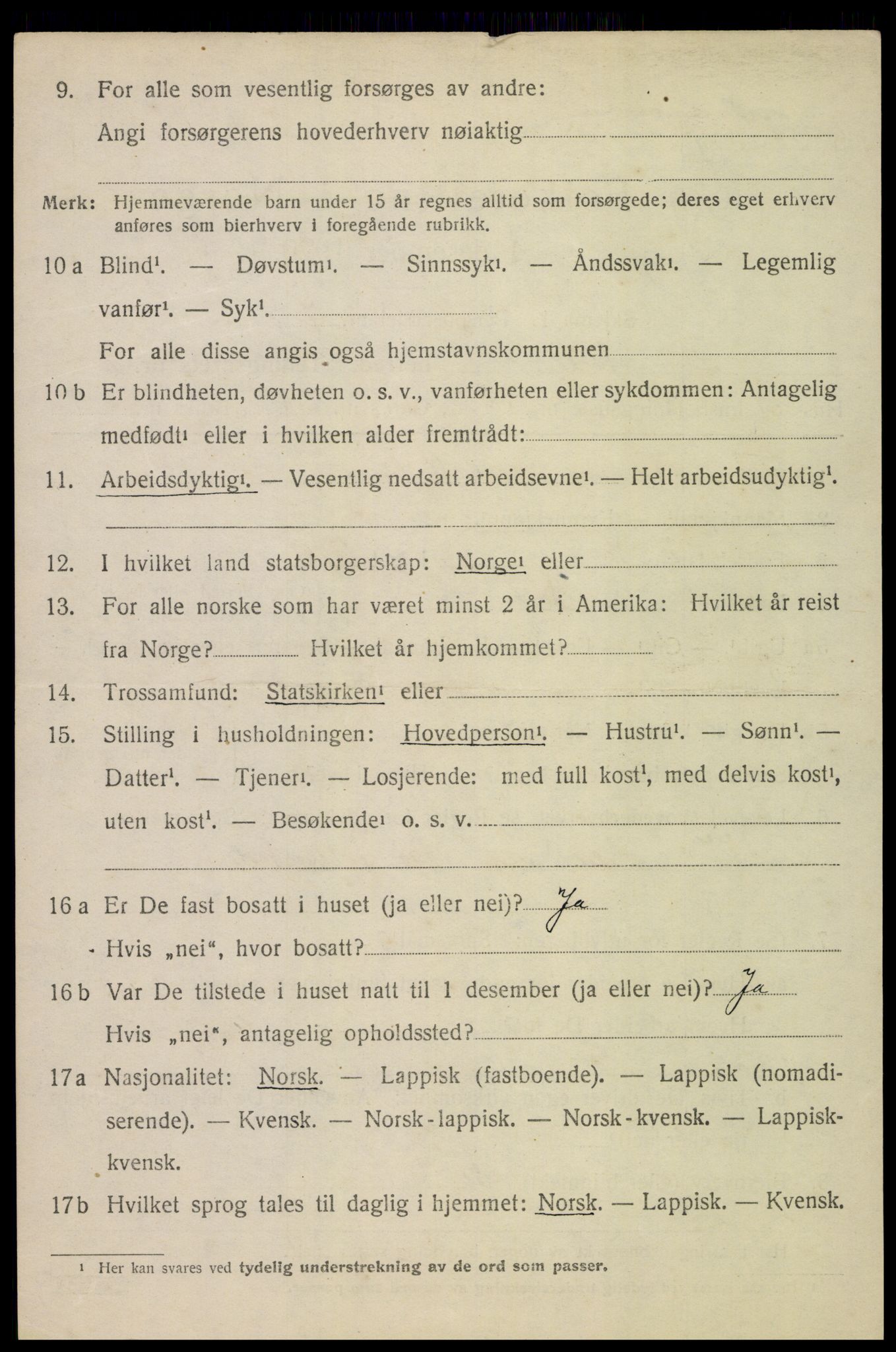 SAT, 1920 census for Bø, 1920, p. 9981