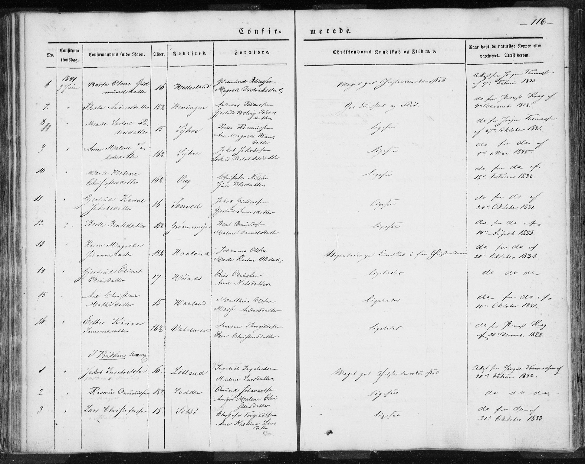 Skudenes sokneprestkontor, AV/SAST-A -101849/H/Ha/Haa/L0002: Parish register (official) no. A 2.1, 1841-1846, p. 116