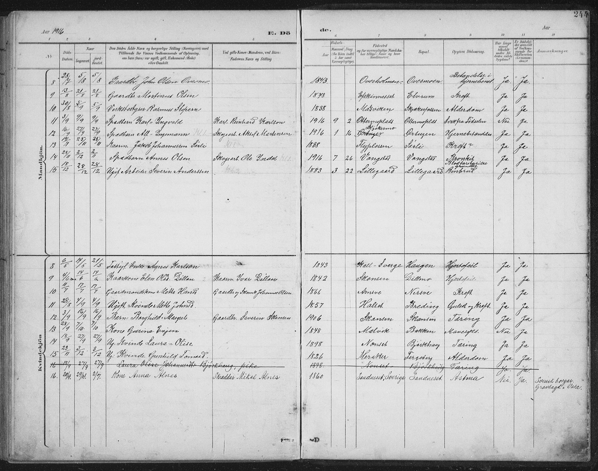 Ministerialprotokoller, klokkerbøker og fødselsregistre - Nord-Trøndelag, AV/SAT-A-1458/724/L0269: Parish register (copy) no. 724C05, 1899-1920, p. 244