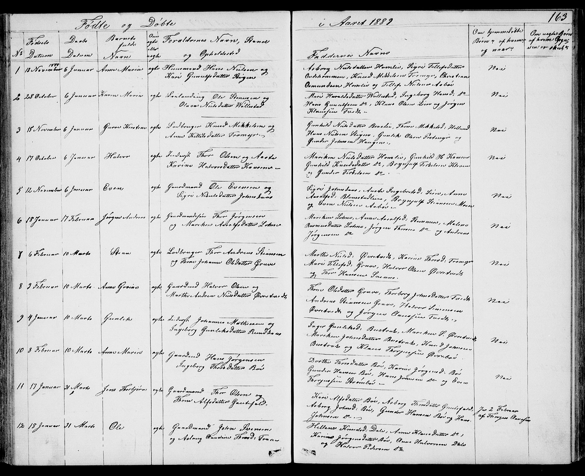Drangedal kirkebøker, SAKO/A-258/G/Gb/L0001: Parish register (copy) no. II 1, 1856-1894, p. 163