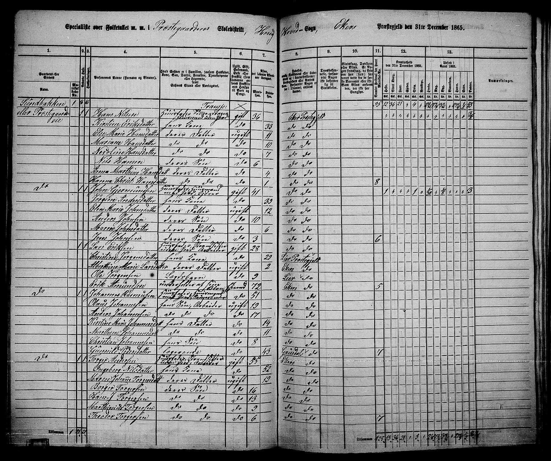 RA, 1865 census for Eiker, 1865, p. 176