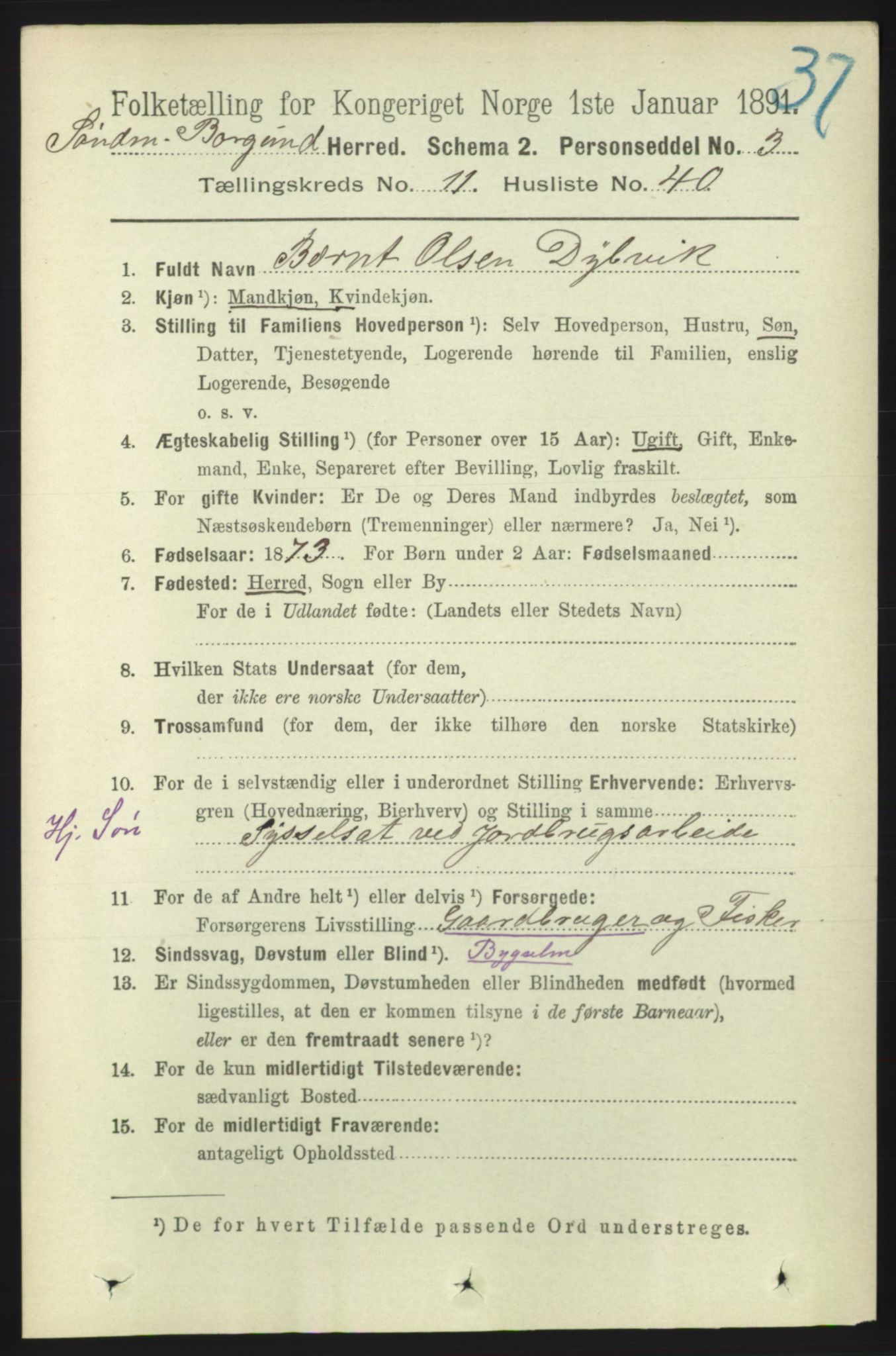 RA, 1891 census for 1531 Borgund, 1891, p. 2995