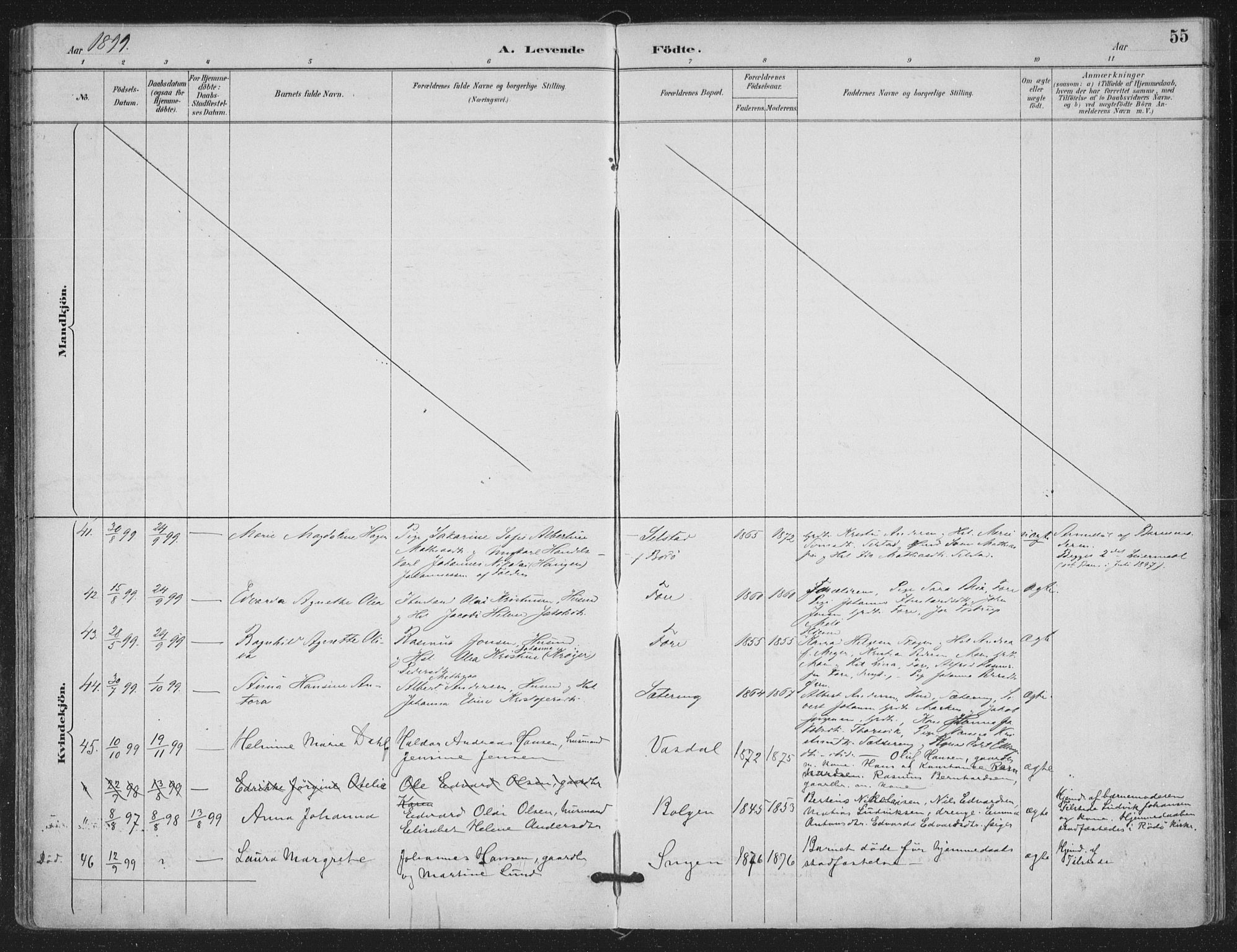 Ministerialprotokoller, klokkerbøker og fødselsregistre - Nordland, AV/SAT-A-1459/843/L0628: Parish register (official) no. 843A03, 1889-1907, p. 55