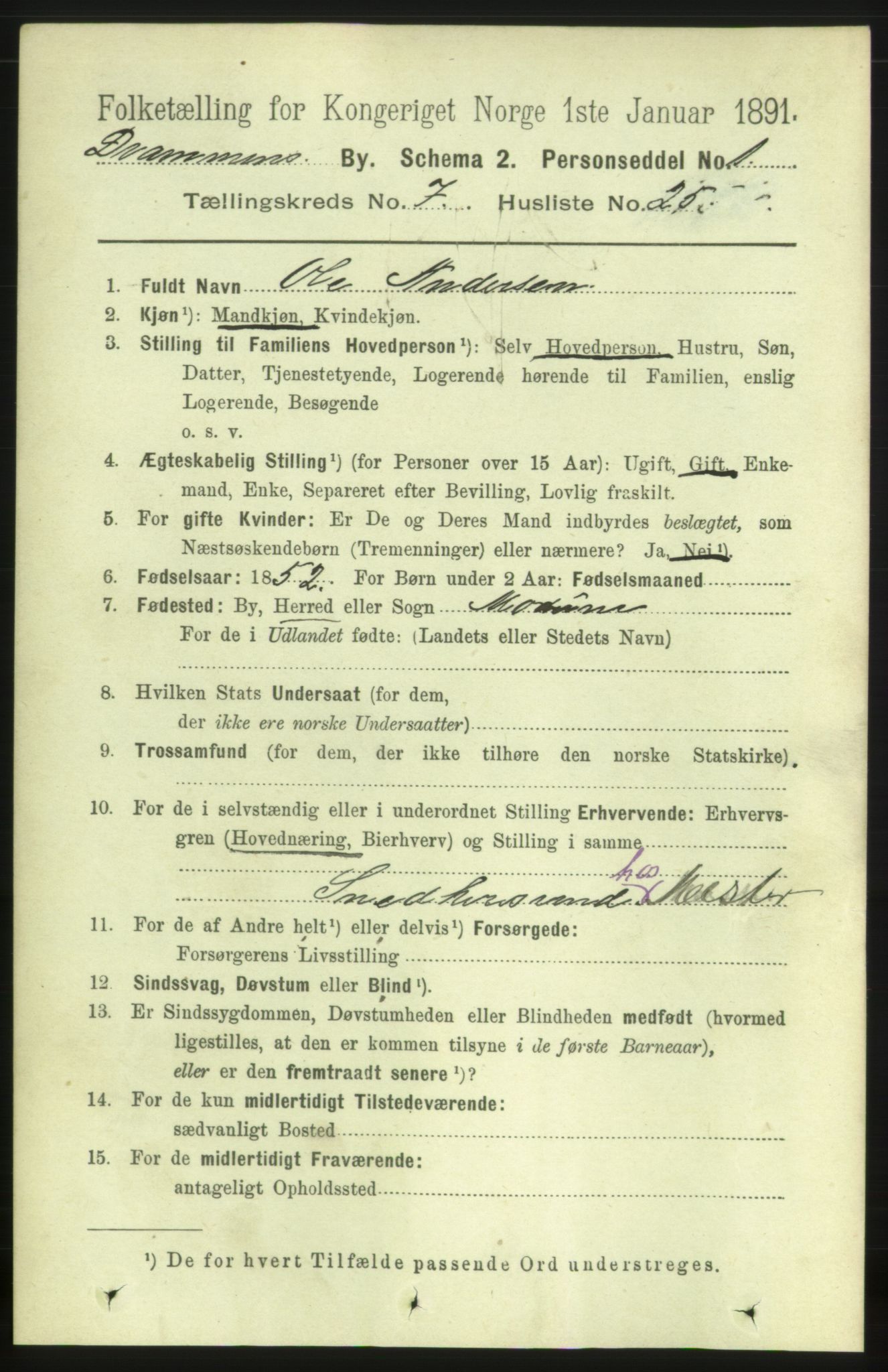 RA, 1891 census for 0602 Drammen, 1891, p. 6720