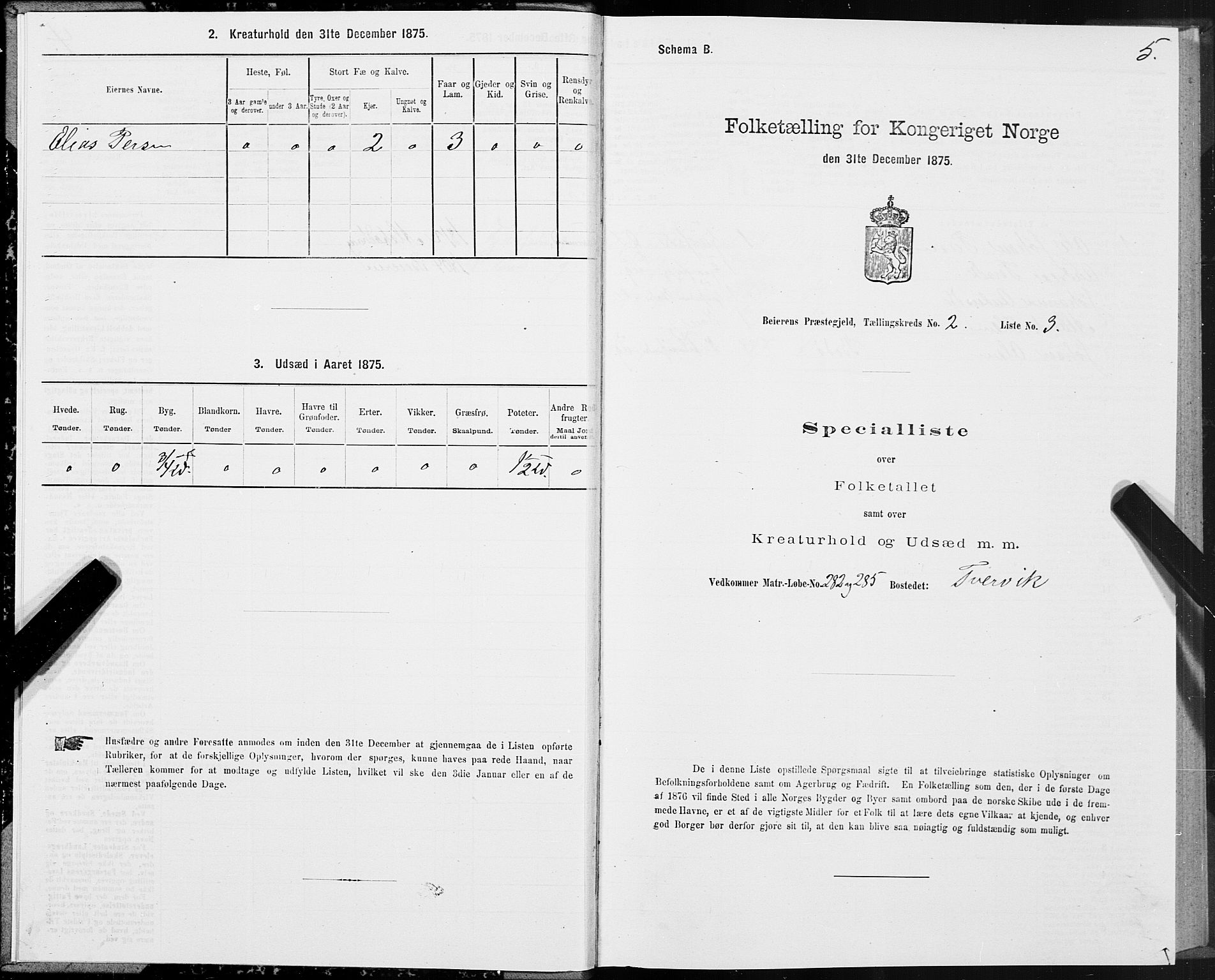 SAT, 1875 census for 1839P Beiarn, 1875, p. 2005