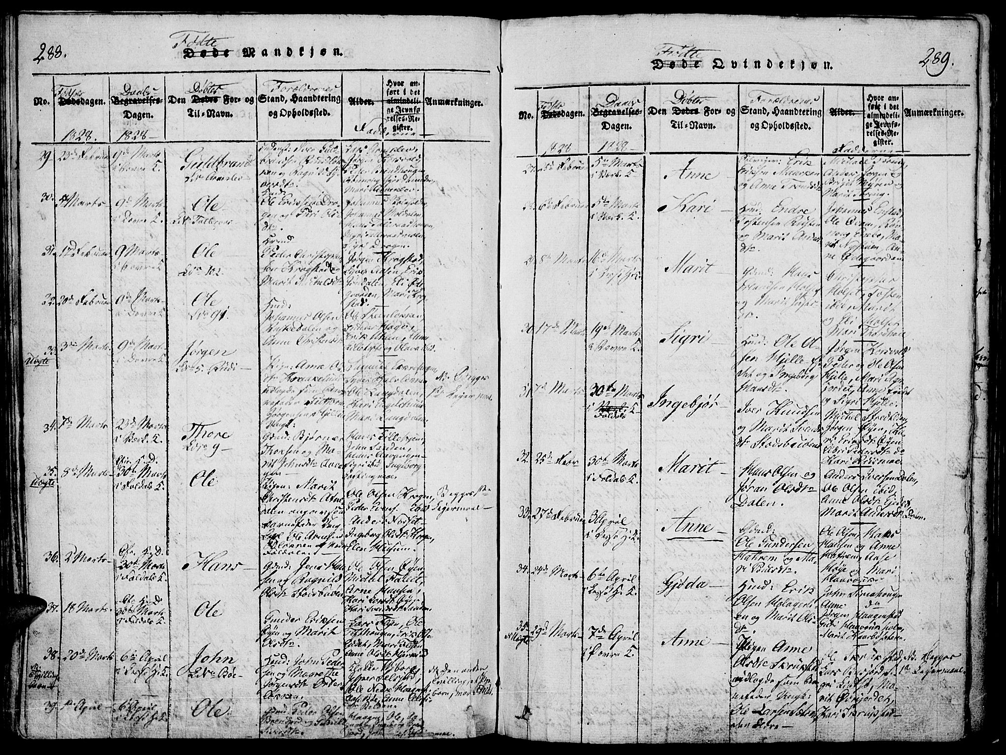 Lesja prestekontor, SAH/PREST-068/H/Ha/Haa/L0004: Parish register (official) no. 4, 1820-1829, p. 288-289