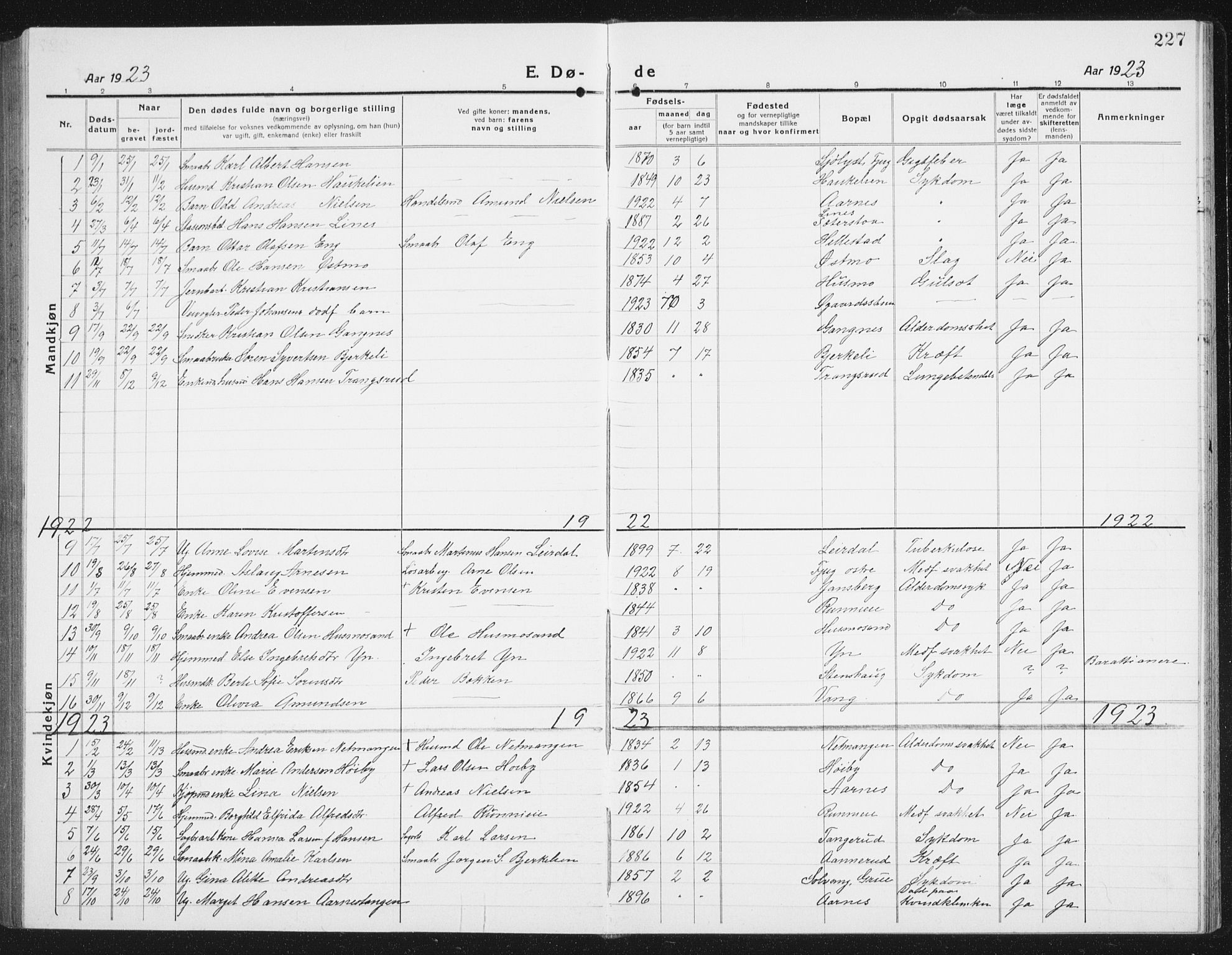 Nes prestekontor Kirkebøker, SAO/A-10410/G/Gc/L0002: Parish register (copy) no. III 2, 1915-1943, p. 227