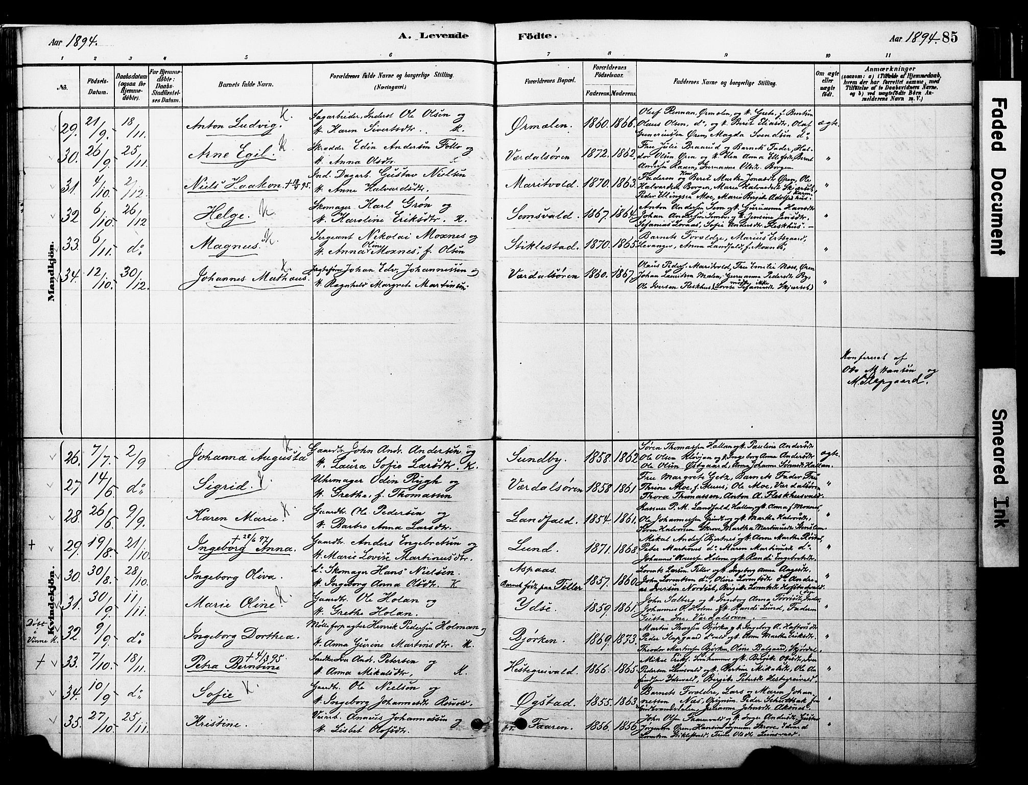 Ministerialprotokoller, klokkerbøker og fødselsregistre - Nord-Trøndelag, SAT/A-1458/723/L0244: Parish register (official) no. 723A13, 1881-1899, p. 85