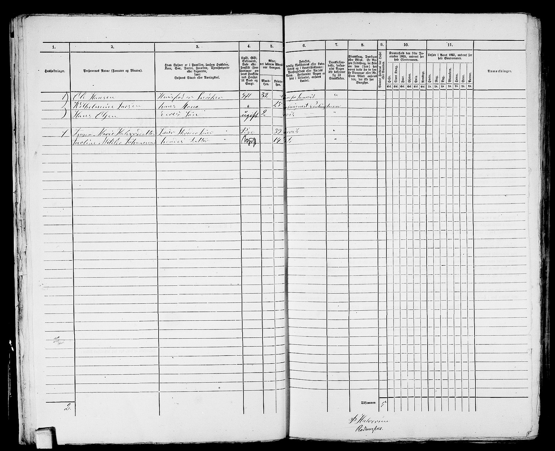 RA, 1865 census for Larvik, 1865, p. 684