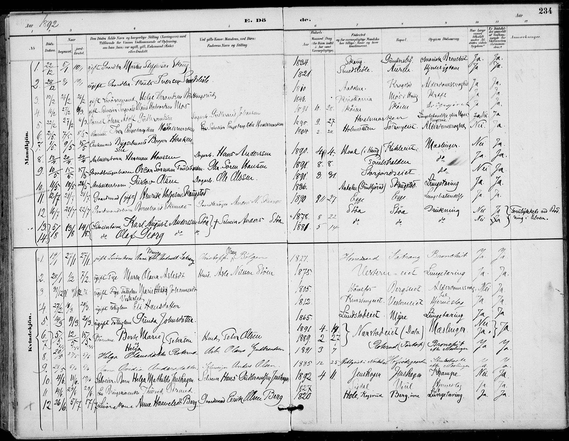 Haug kirkebøker, AV/SAKO-A-604/F/Fa/L0001: Parish register (official) no. 1, 1885-1917, p. 234