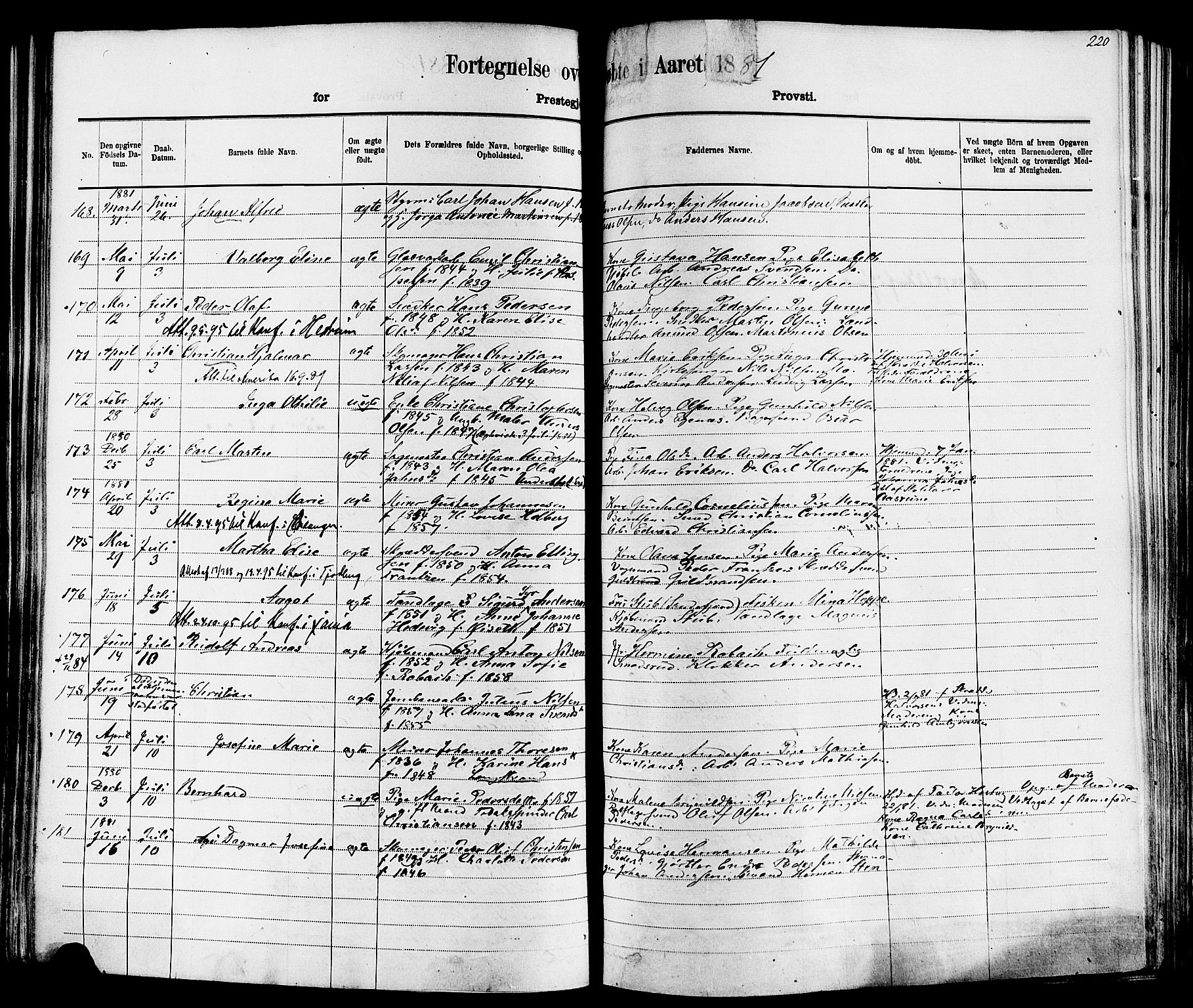 Larvik kirkebøker, AV/SAKO-A-352/F/Fa/L0006: Parish register (official) no. I 6, 1871-1883, p. 220