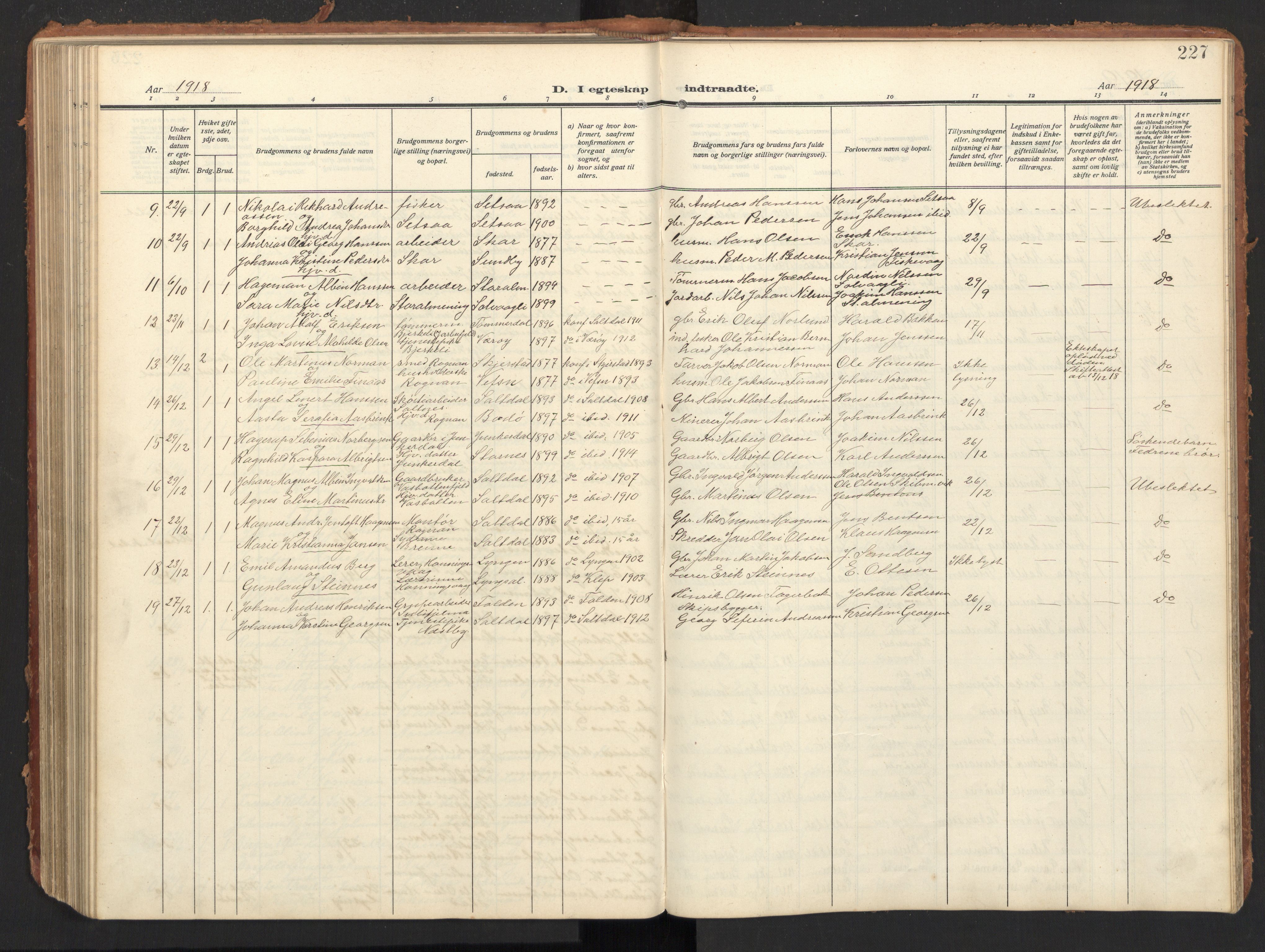 Ministerialprotokoller, klokkerbøker og fødselsregistre - Nordland, AV/SAT-A-1459/847/L0683: Parish register (copy) no. 847C11, 1908-1929, p. 227