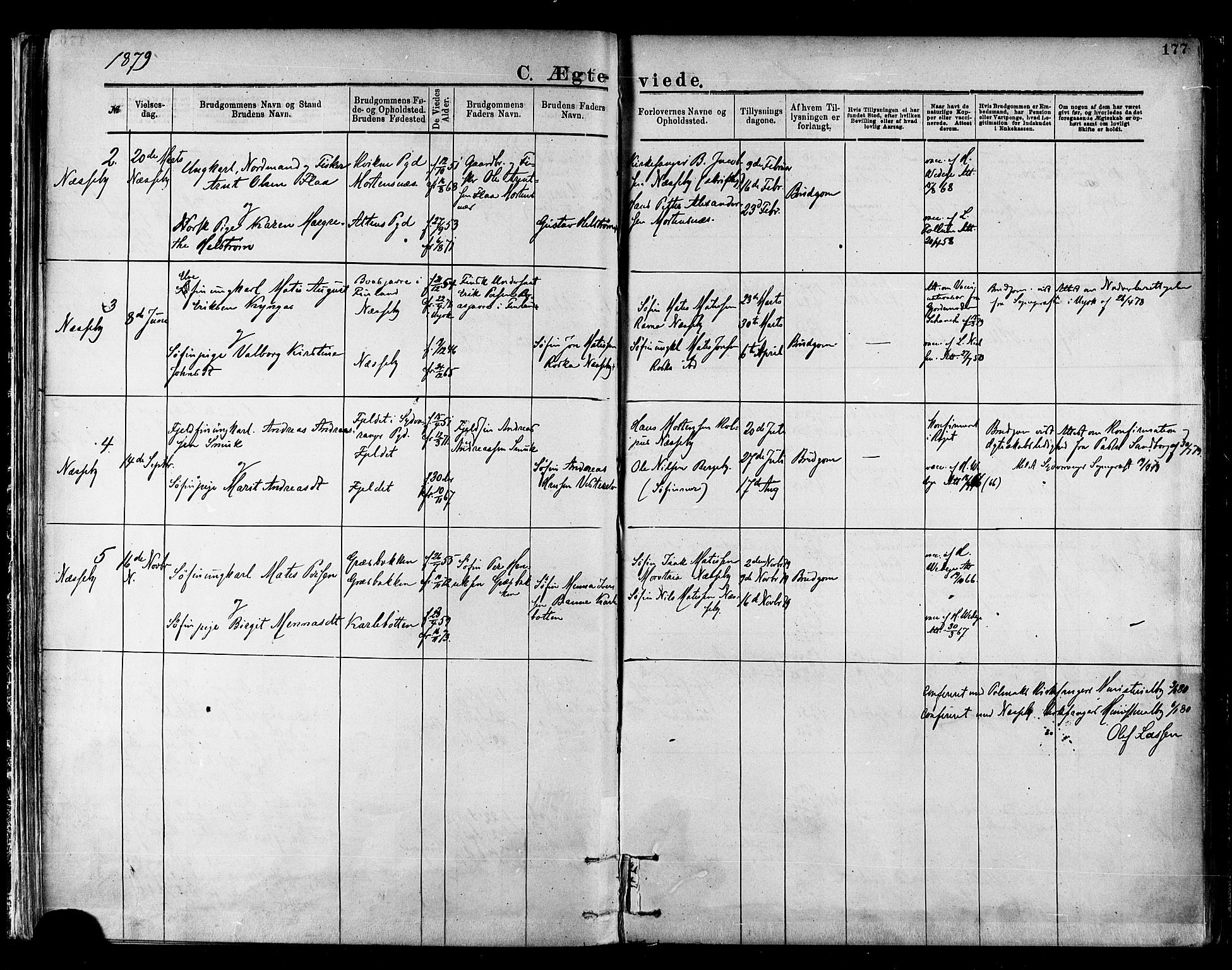 Nesseby sokneprestkontor, AV/SATØ-S-1330/H/Ha/L0004kirke: Parish register (official) no. 4, 1877-1884, p. 177