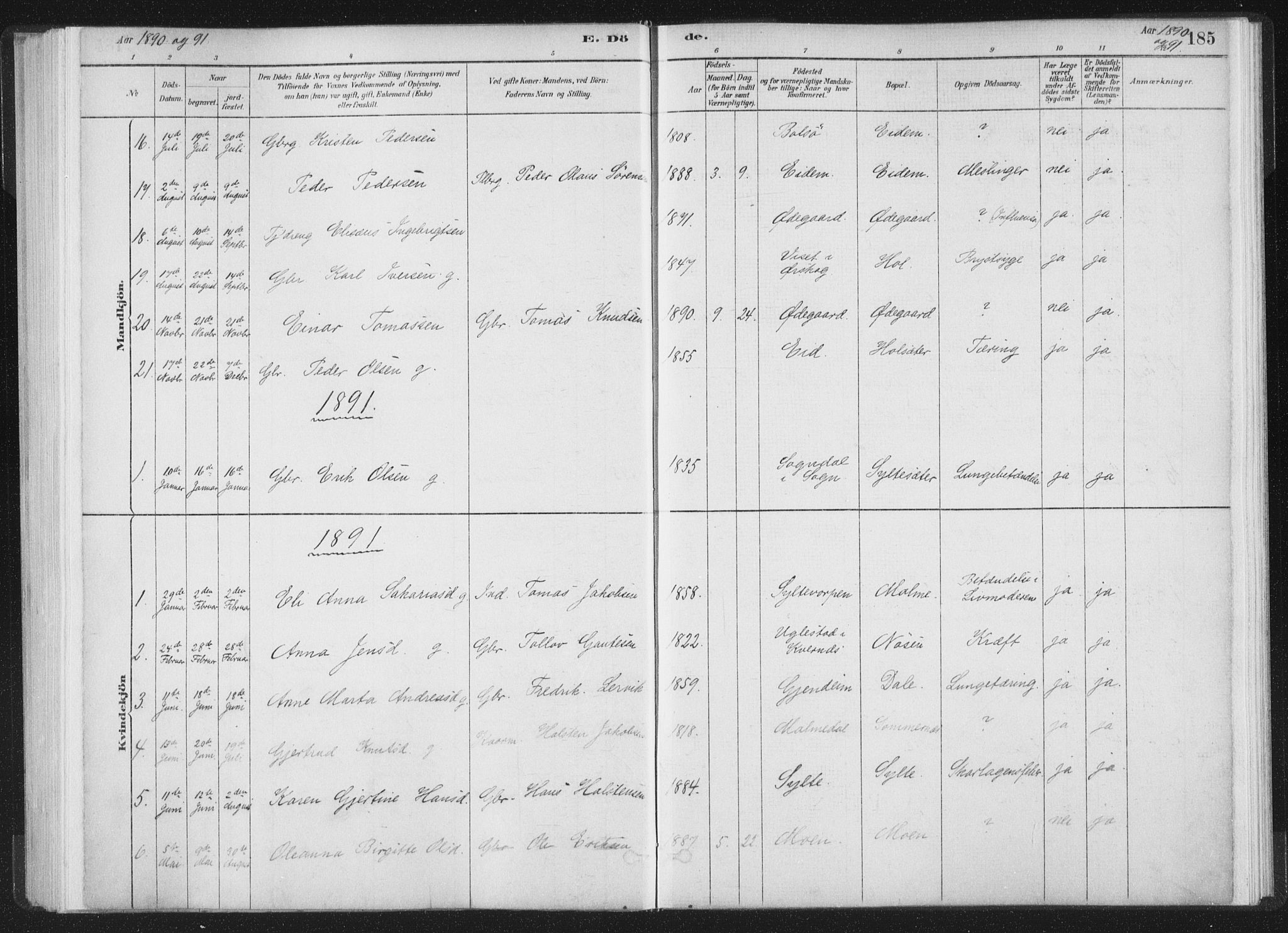 Ministerialprotokoller, klokkerbøker og fødselsregistre - Møre og Romsdal, AV/SAT-A-1454/564/L0740: Parish register (official) no. 564A01, 1880-1899, p. 185