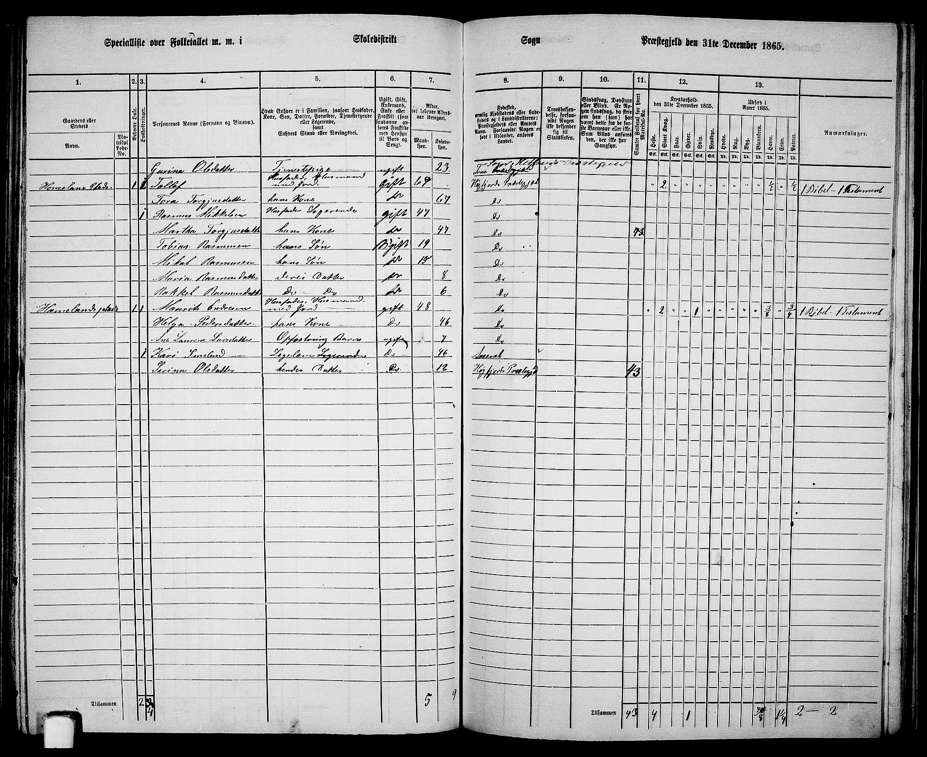 RA, 1865 census for Høgsfjord, 1865, p. 115