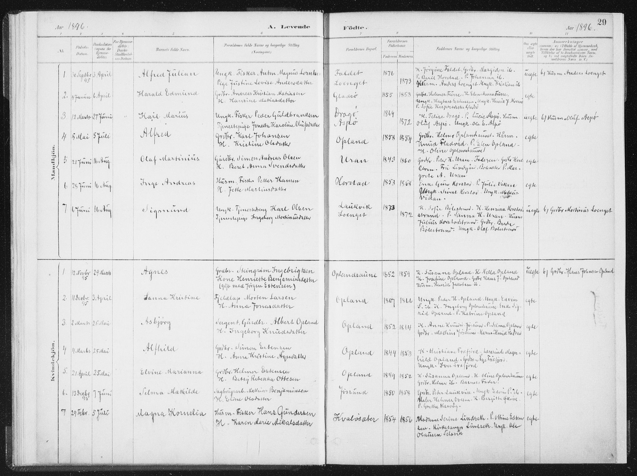 Ministerialprotokoller, klokkerbøker og fødselsregistre - Nord-Trøndelag, AV/SAT-A-1458/771/L0597: Parish register (official) no. 771A04, 1885-1910, p. 29