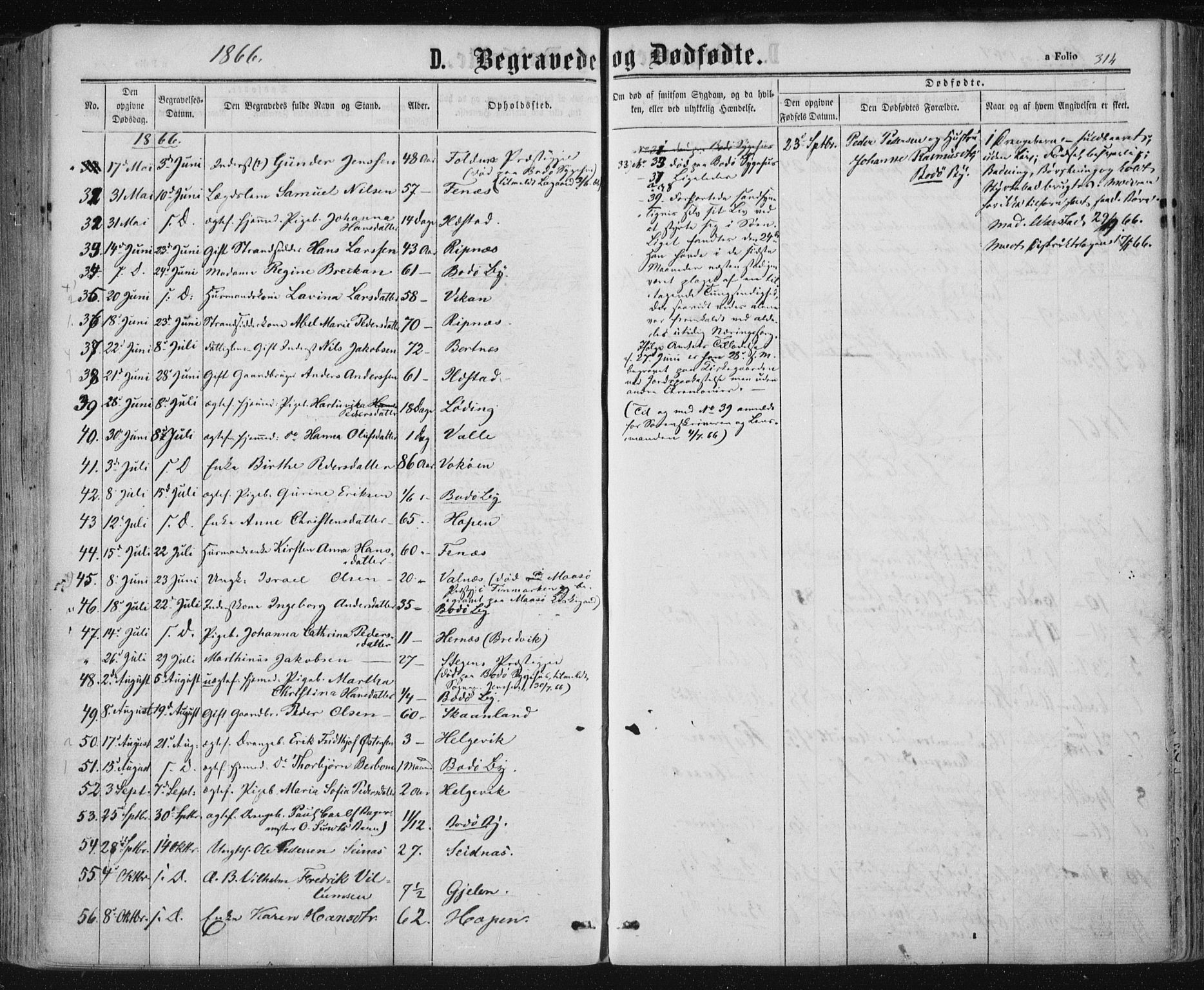 Ministerialprotokoller, klokkerbøker og fødselsregistre - Nordland, AV/SAT-A-1459/801/L0008: Parish register (official) no. 801A08, 1864-1875, p. 314