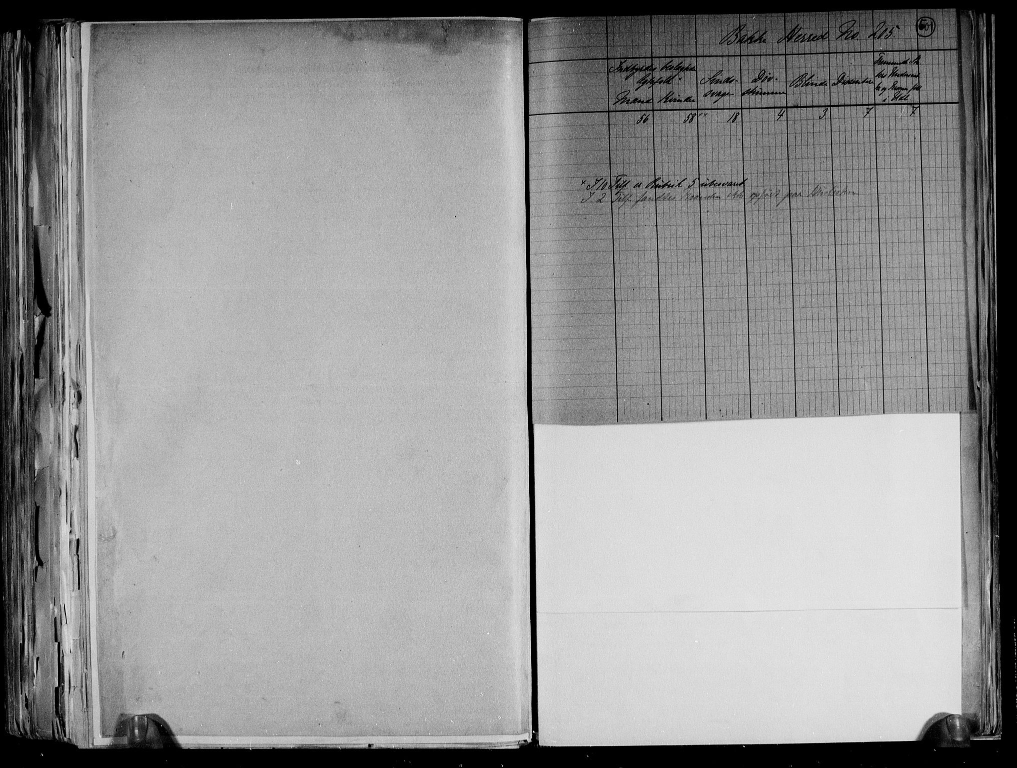 RA, 1891 census for 1045 Bakke, 1891, p. 4