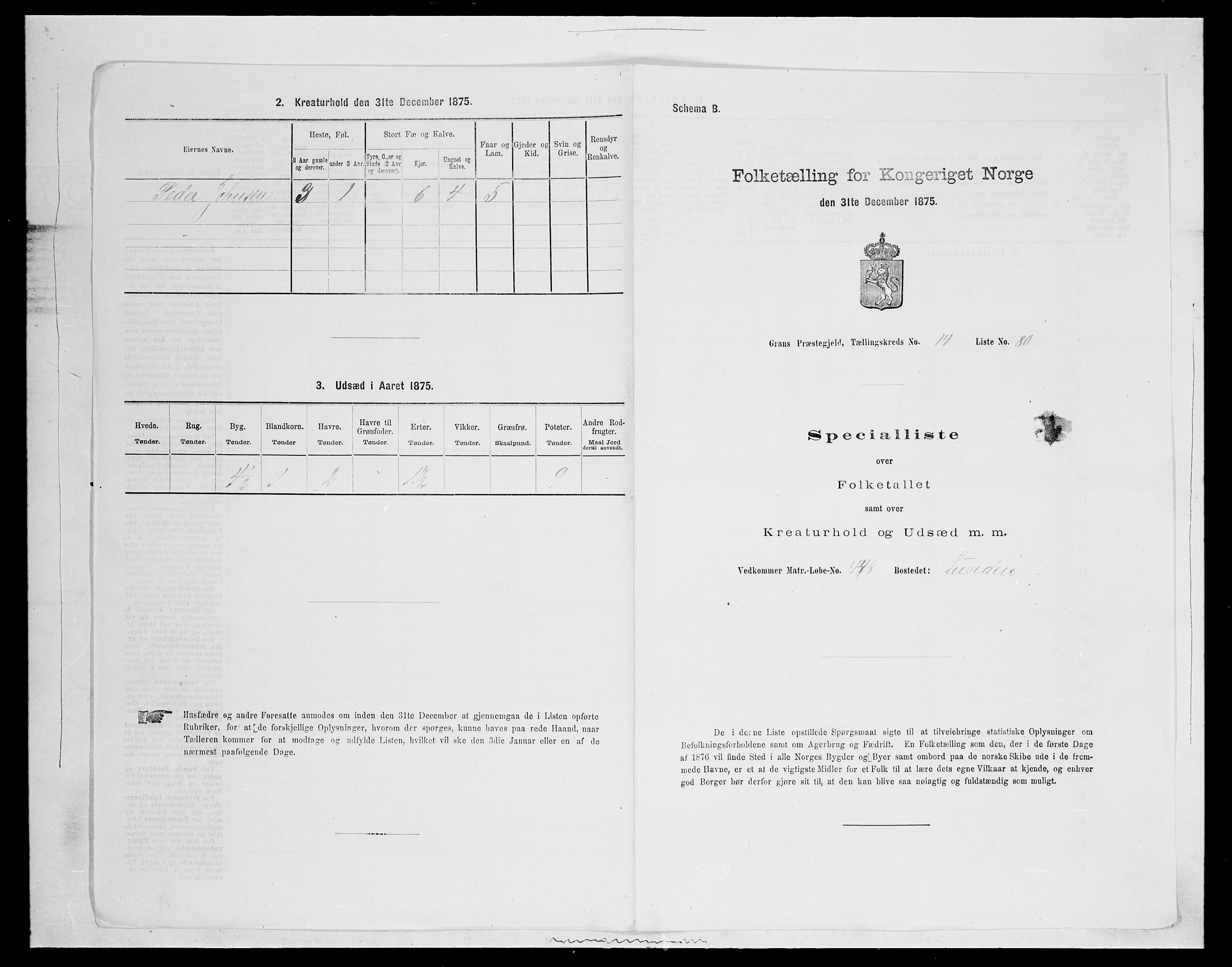 SAH, 1875 census for 0534P Gran, 1875, p. 2689