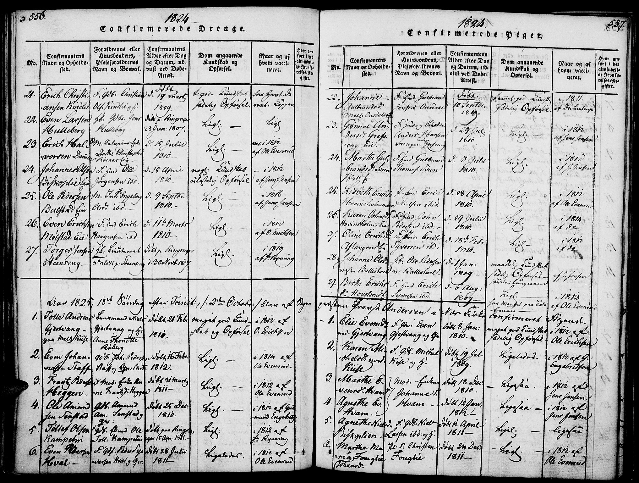 Nes prestekontor, Hedmark, SAH/PREST-020/K/Ka/L0002: Parish register (official) no. 2, 1813-1827, p. 556-557