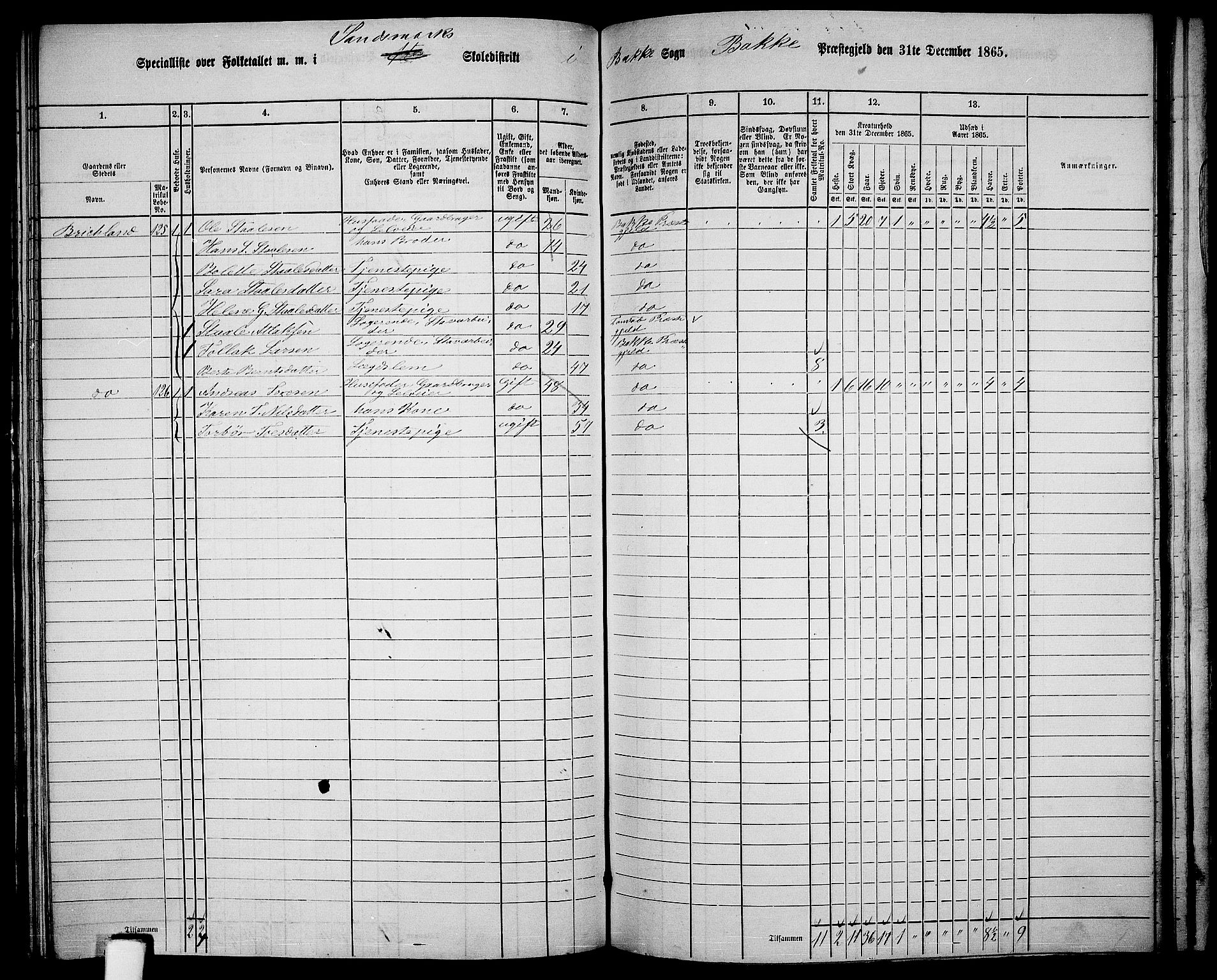 RA, 1865 census for Bakke, 1865, p. 89