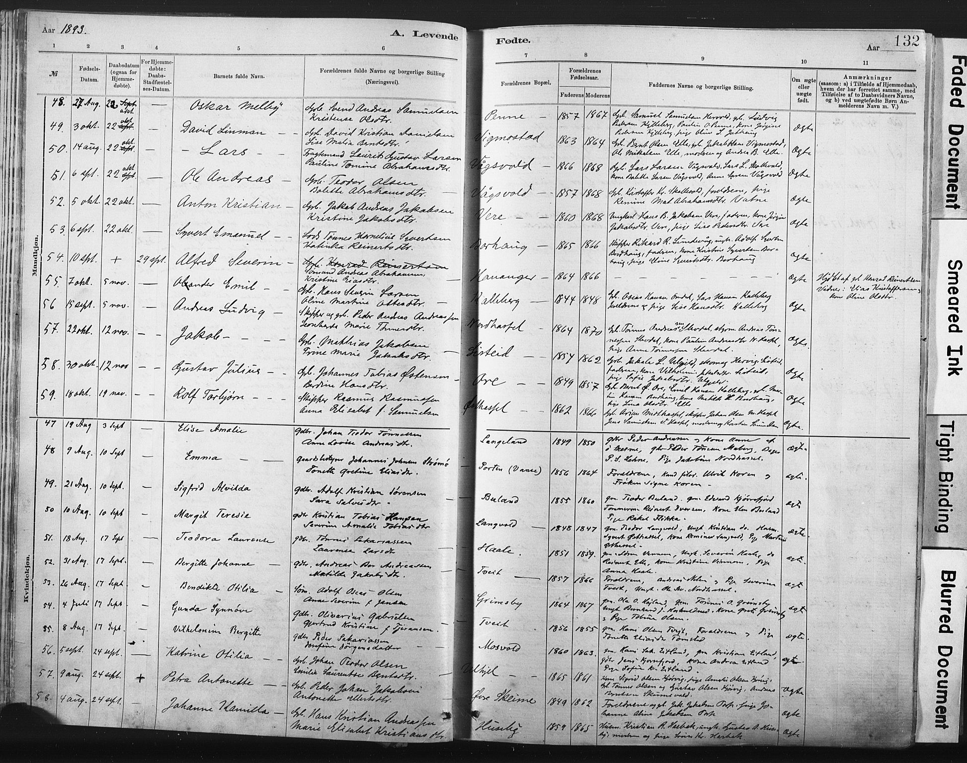 Lista sokneprestkontor, AV/SAK-1111-0027/F/Fa/L0012: Parish register (official) no. A 12, 1879-1903, p. 132