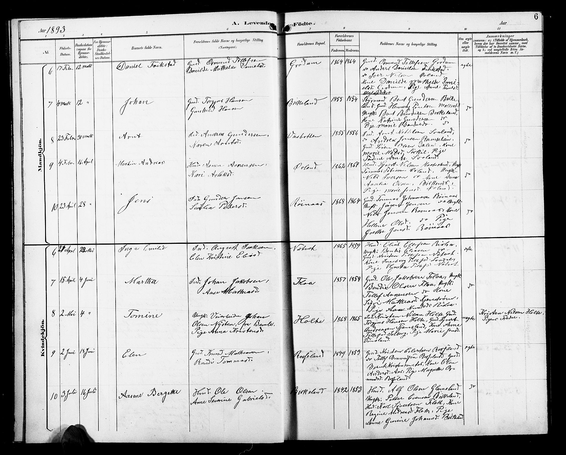 Birkenes sokneprestkontor, AV/SAK-1111-0004/F/Fb/L0004: Parish register (copy) no. B 4, 1893-1930, p. 6