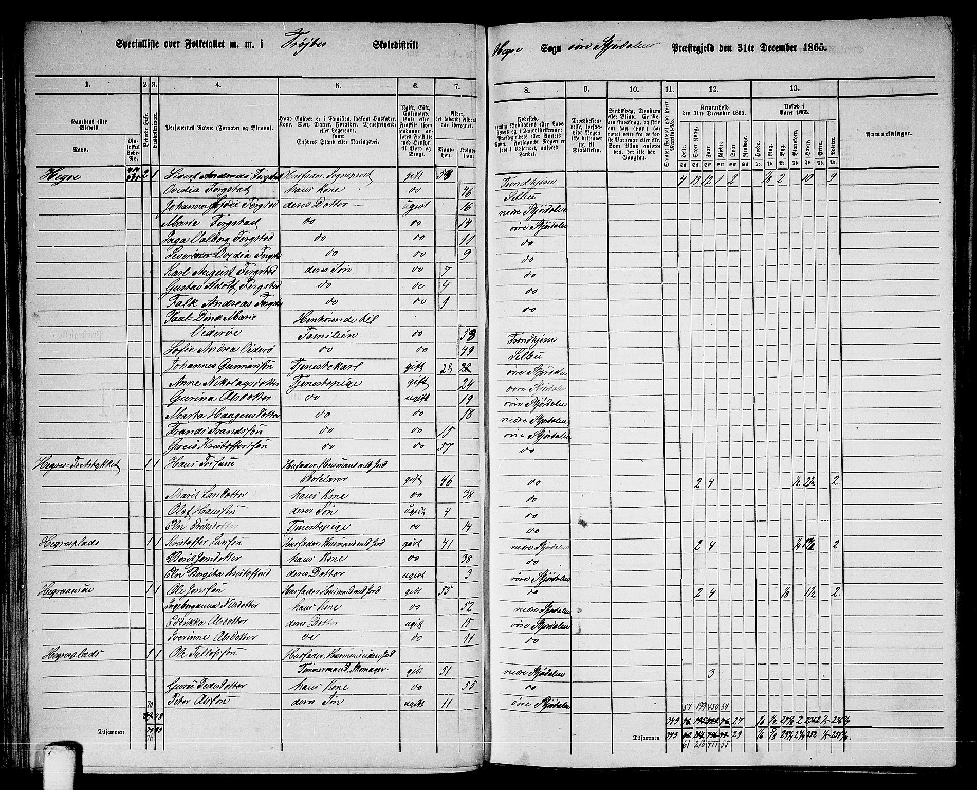 RA, 1865 census for Øvre Stjørdal, 1865, p. 58