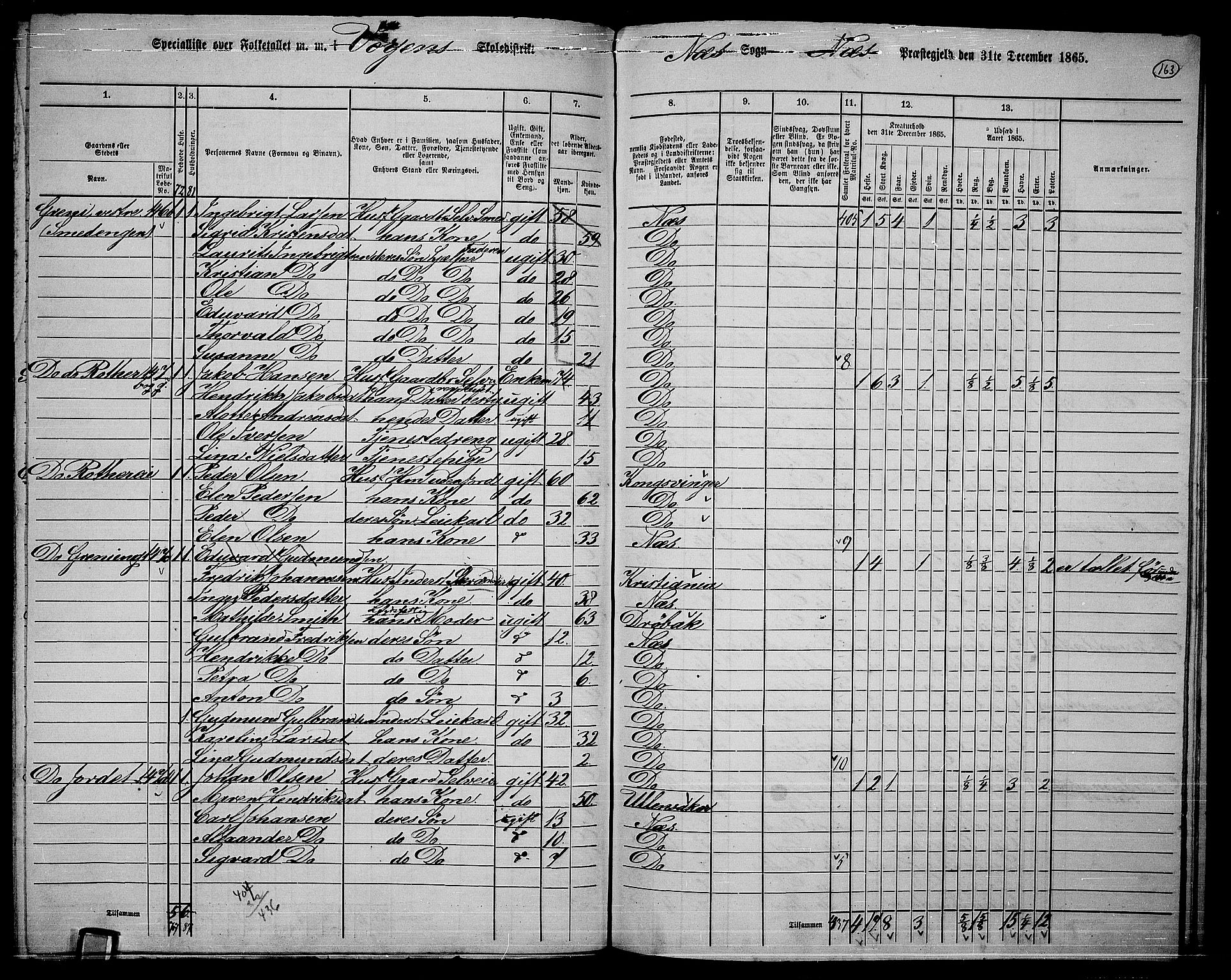 RA, 1865 census for Nes, 1865, p. 149