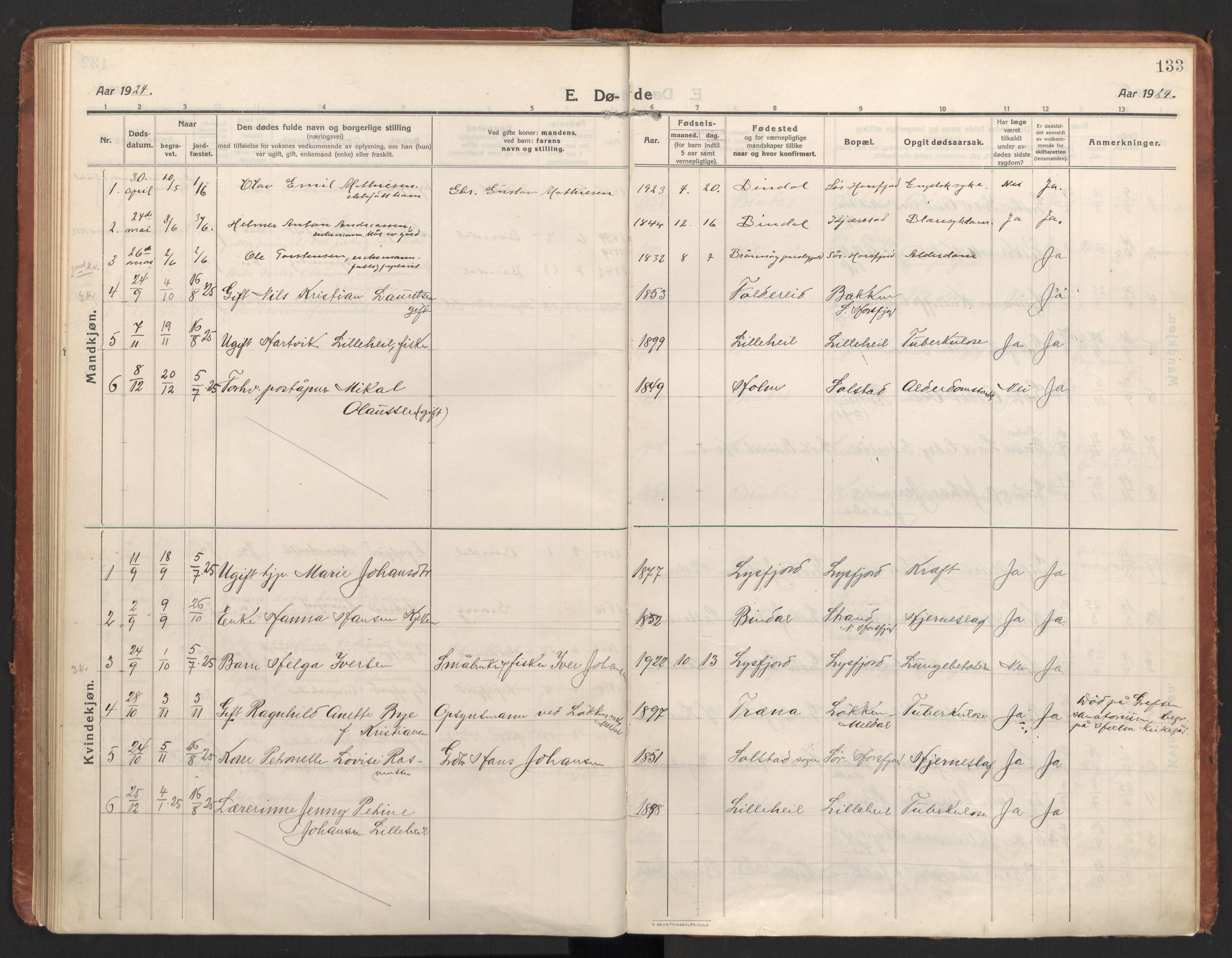 Ministerialprotokoller, klokkerbøker og fødselsregistre - Nordland, AV/SAT-A-1459/811/L0168: Parish register (official) no. 811A05, 1914-1932, p. 133