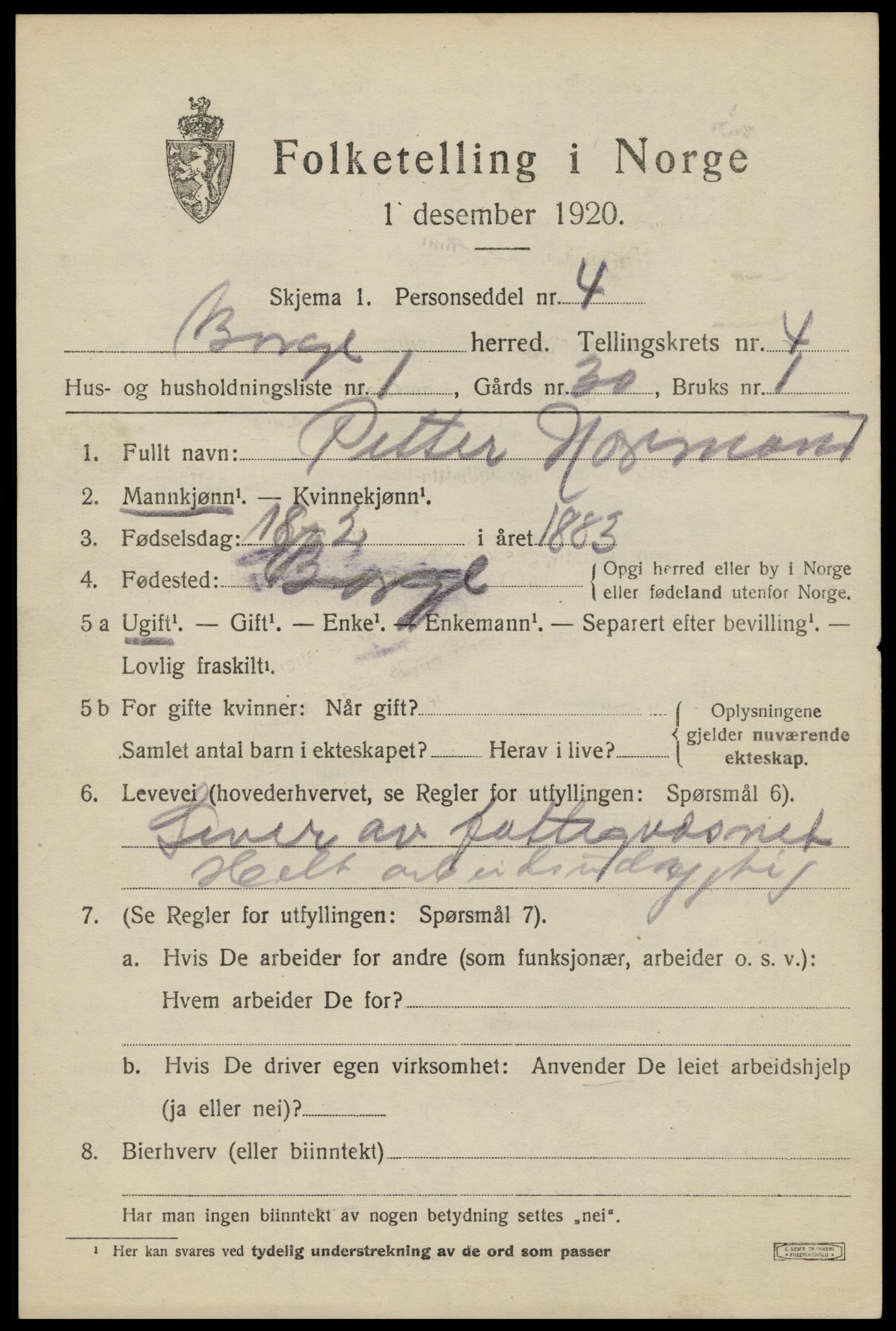 SAT, 1920 census for Borge, 1920, p. 4303