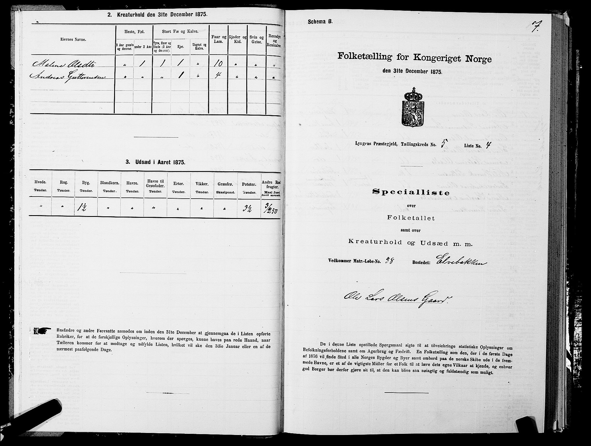 SATØ, 1875 census for 1938P Lyngen, 1875, p. 5007