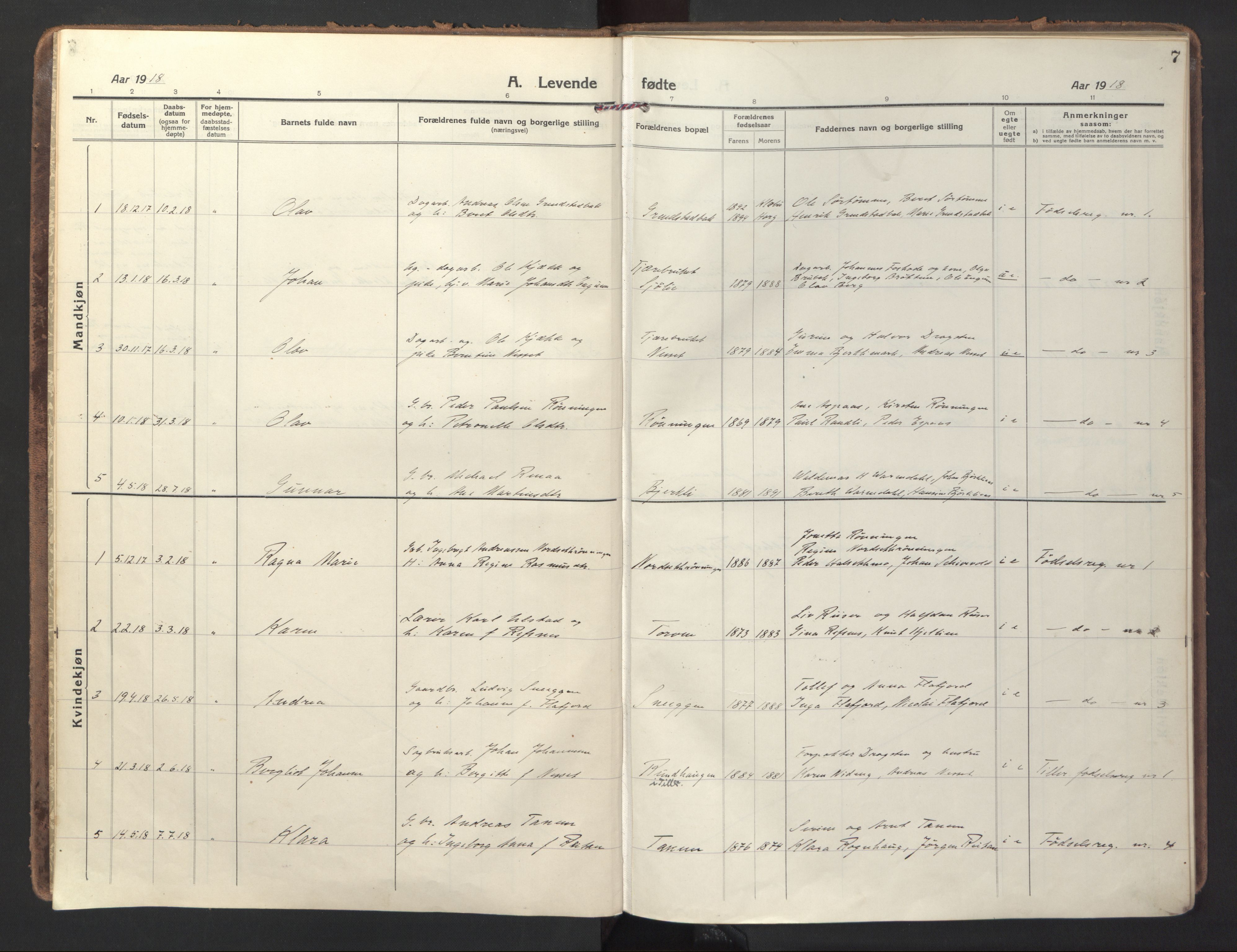 Ministerialprotokoller, klokkerbøker og fødselsregistre - Sør-Trøndelag, SAT/A-1456/618/L0449: Parish register (official) no. 618A12, 1917-1924, p. 7
